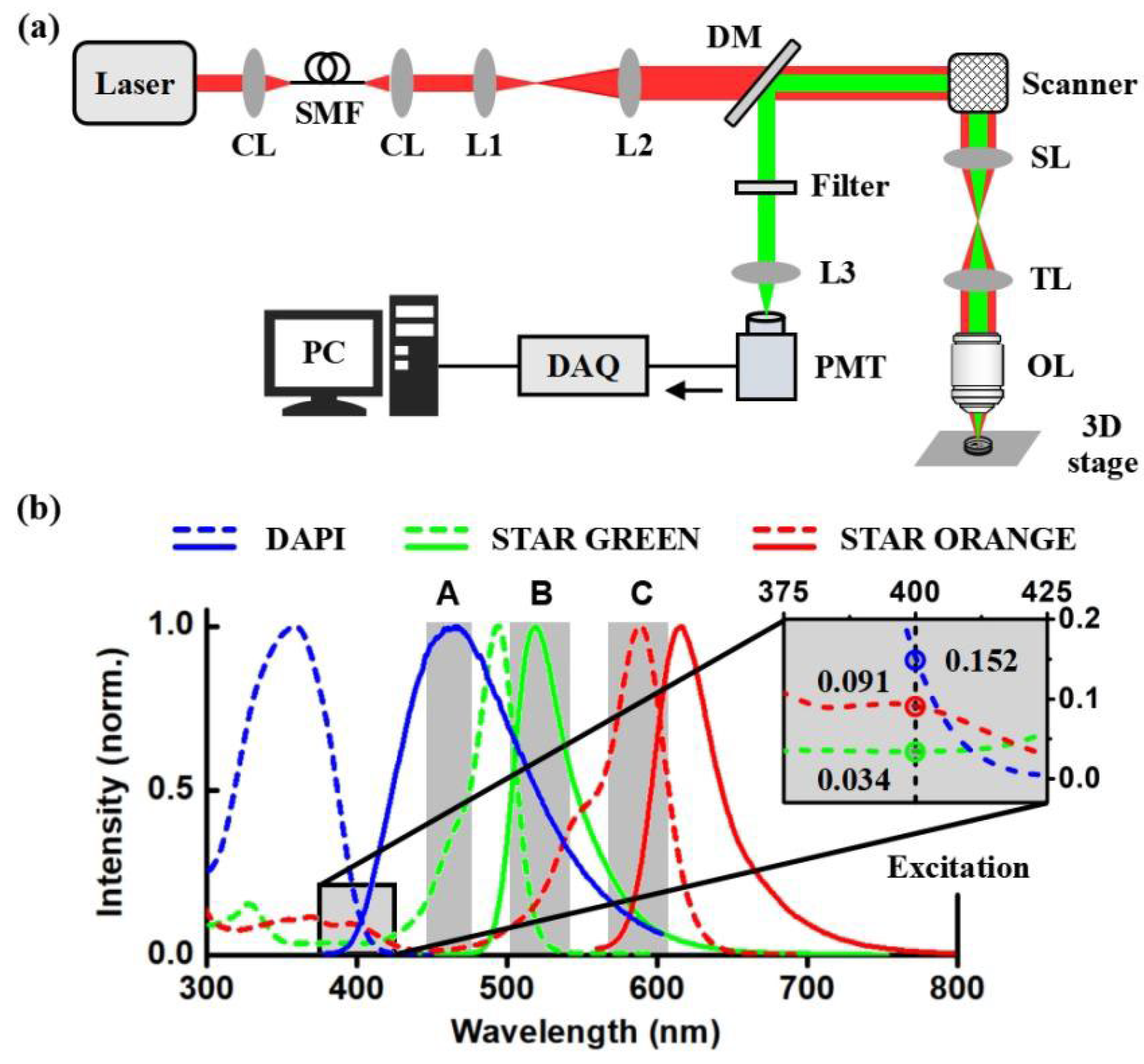 Pulse length measurement of the HGHG output using two-photon absorption