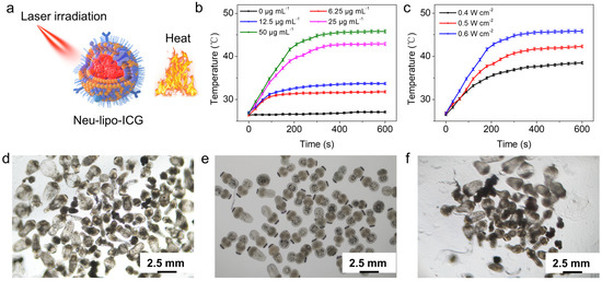 Cell-Membrane Biomimetic Indocyanine Green Liposomes for