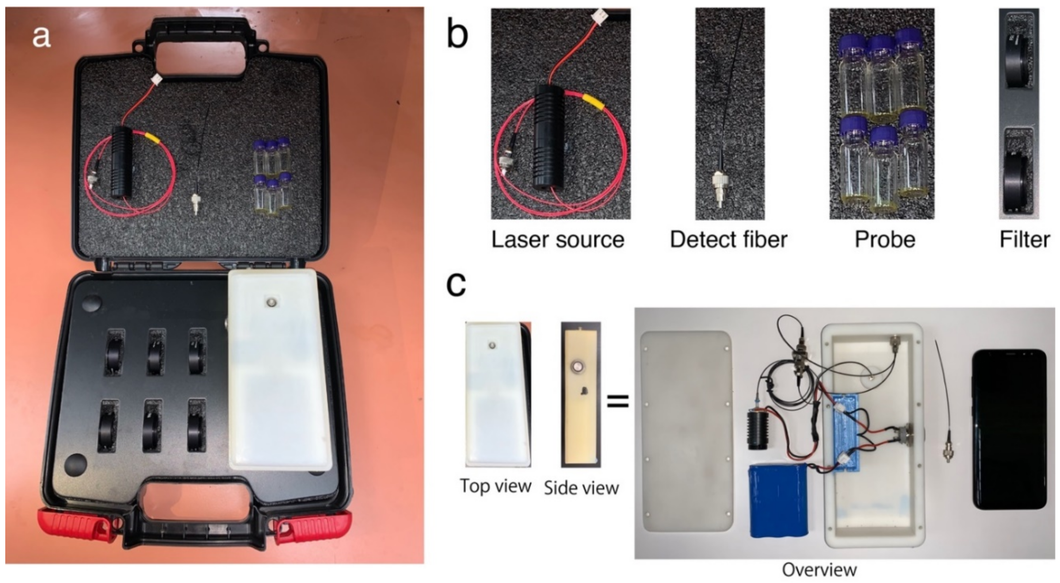 Biosensors 12 00316 g001 550