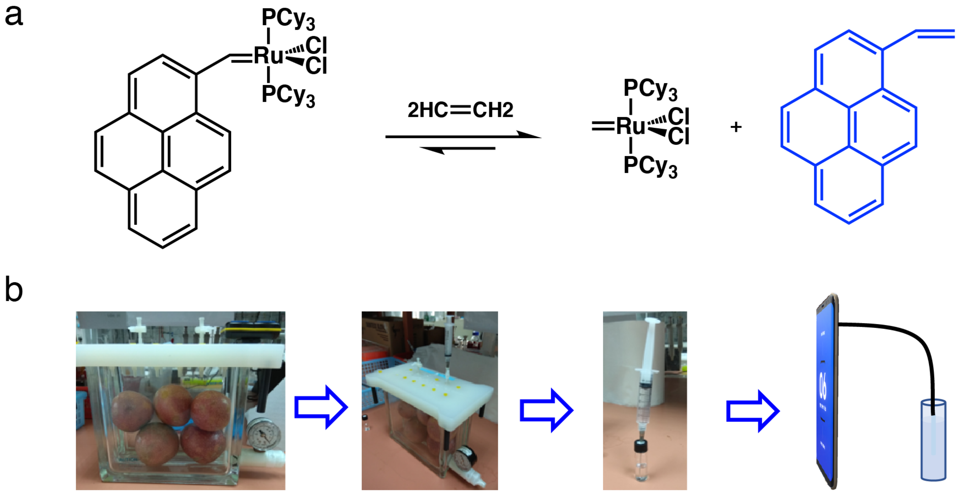 Biosensors 12 00316 g002 550