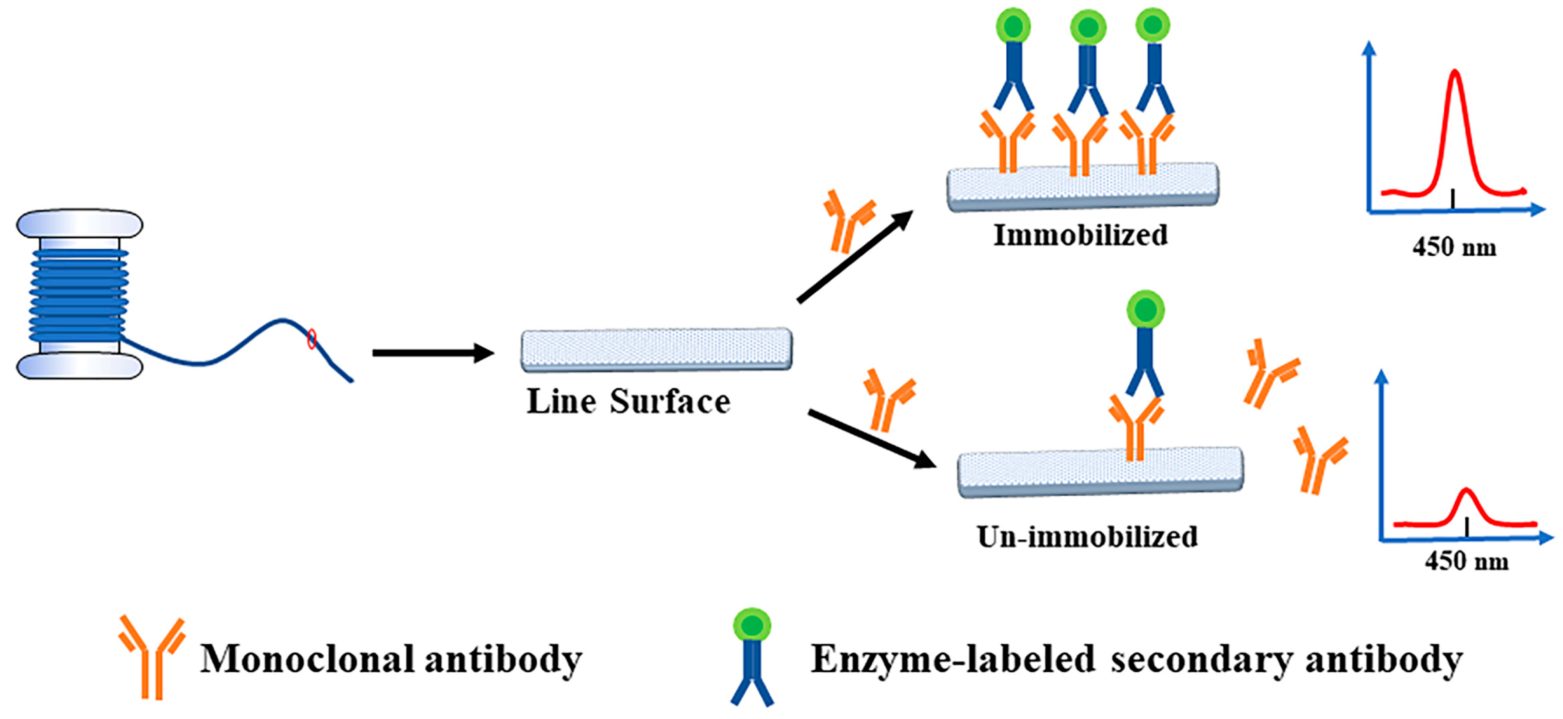 Biosensors 12 00317 g001