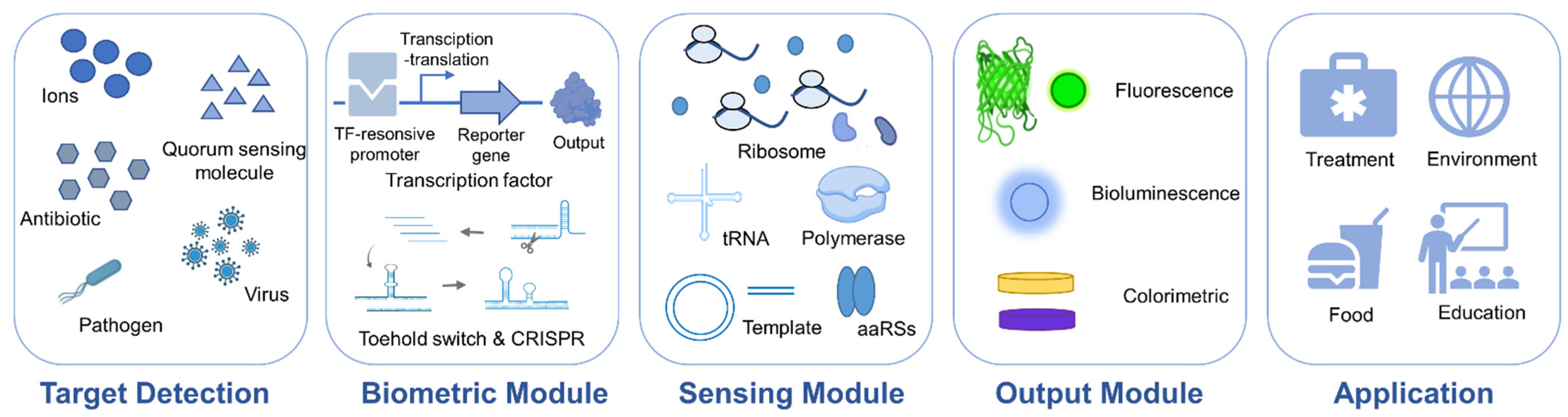 Biosensors 12 00318 g001