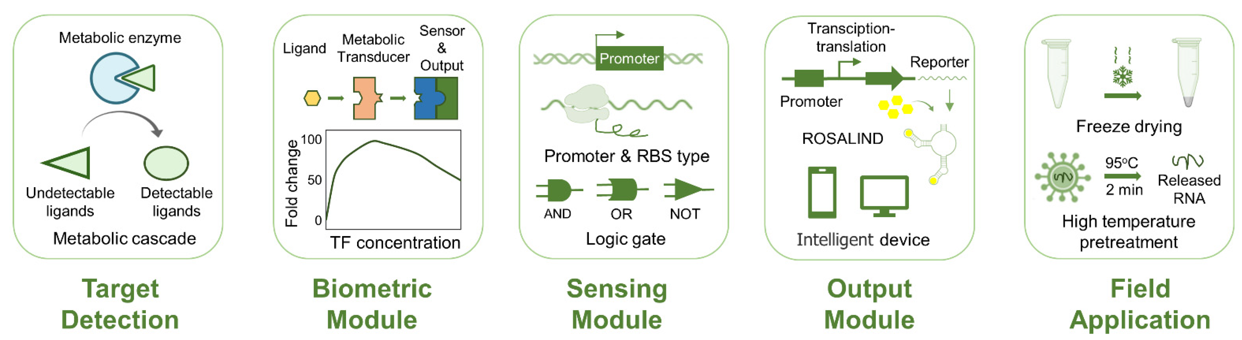 Biosensors 12 00318 g002