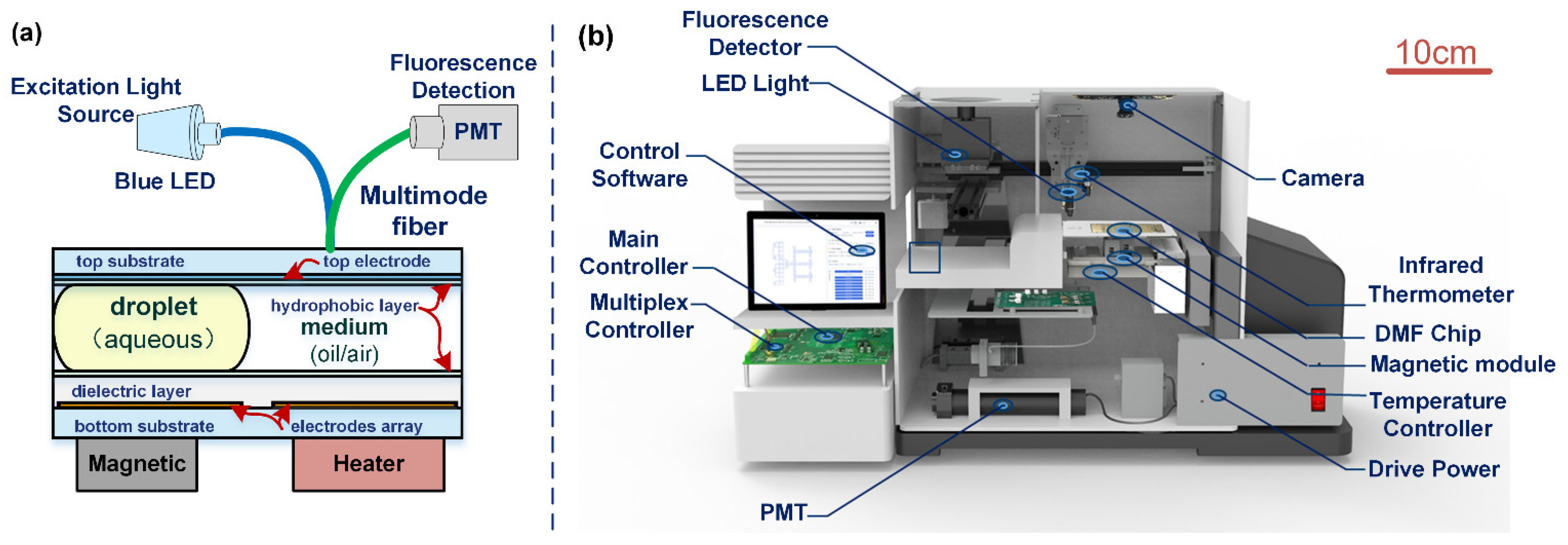 Biosensors 12 00324 g002