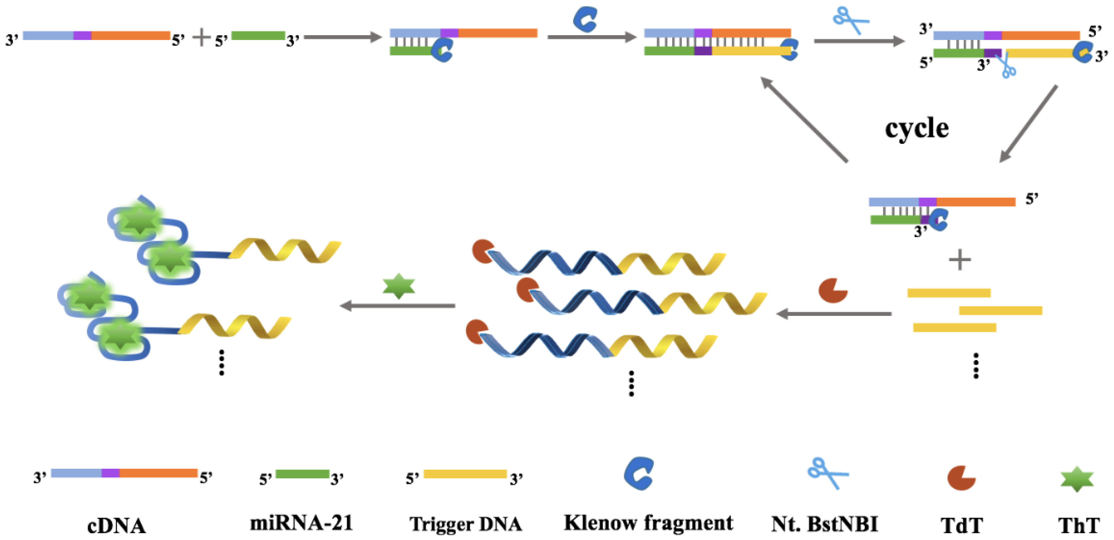 Biosensors 12 00328 sch001