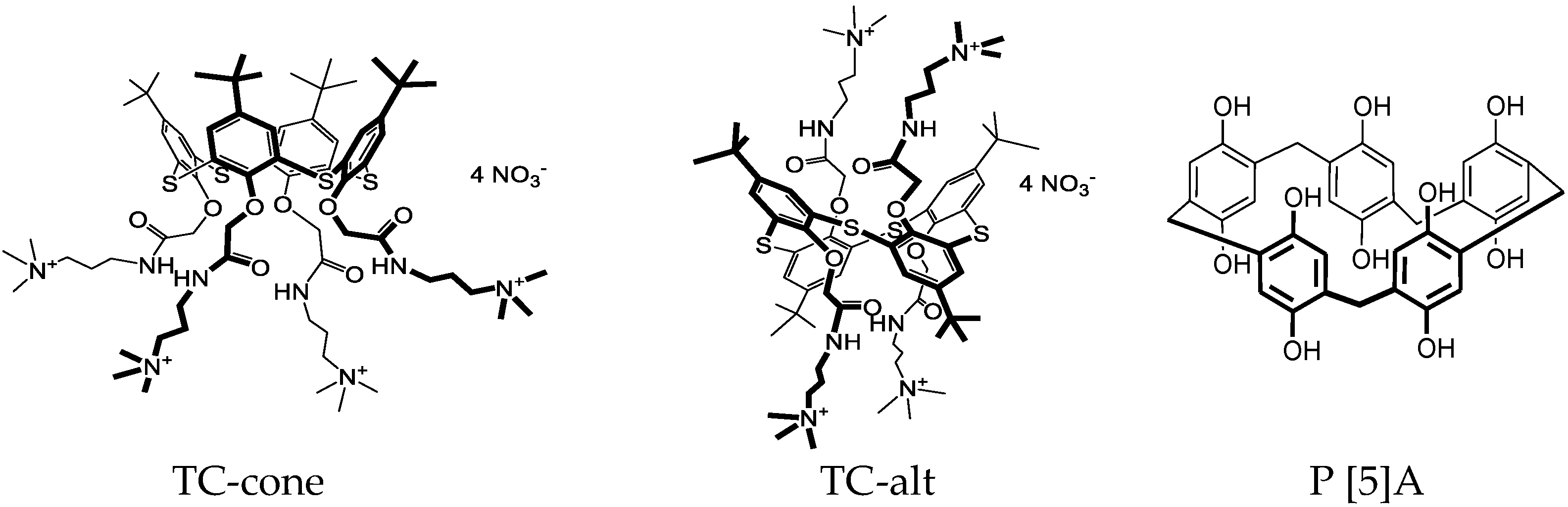 Biosensors 12 00329 g001 550