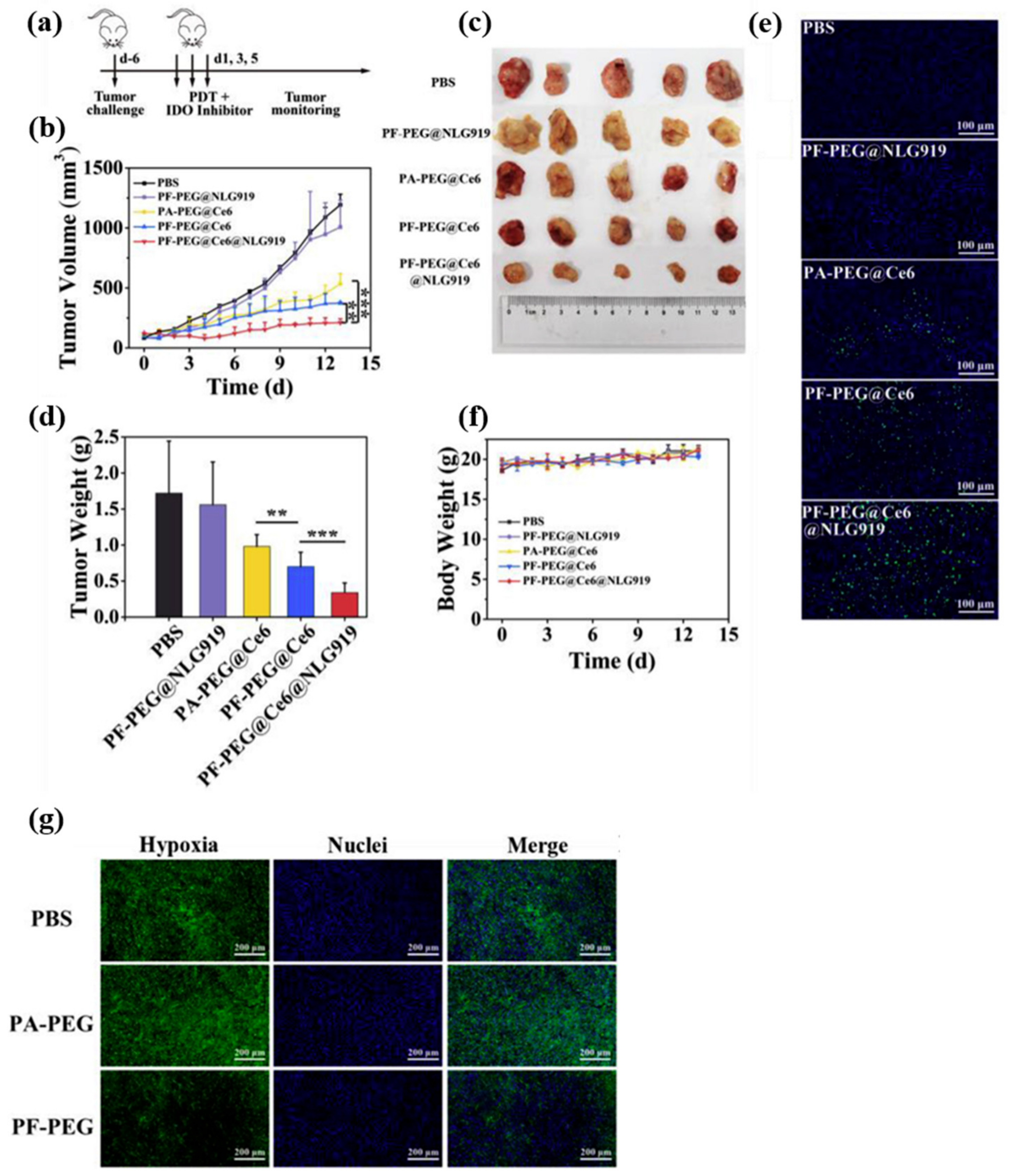 Biosensors 12 00336 g002