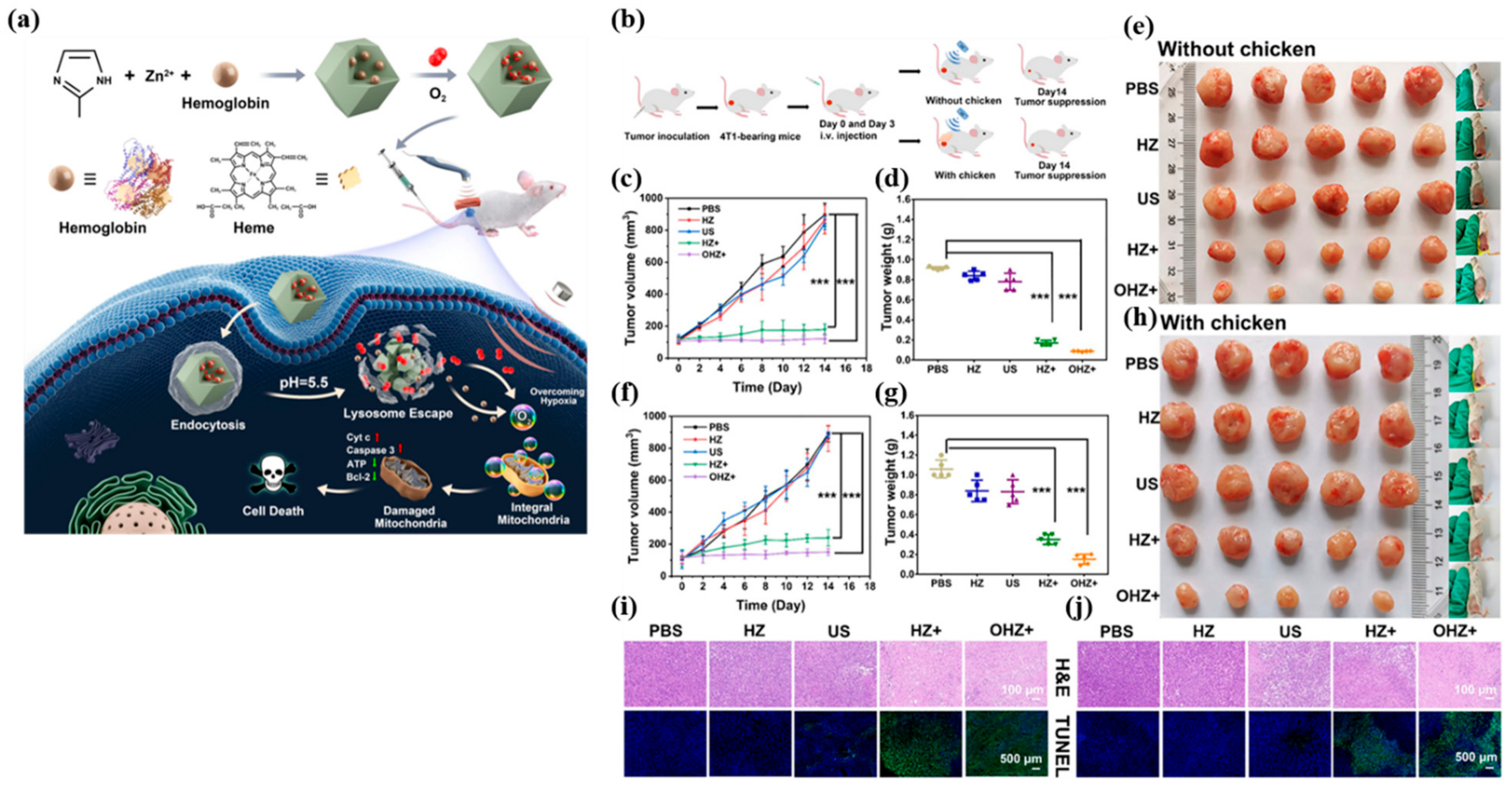 Biosensors 12 00336 g003