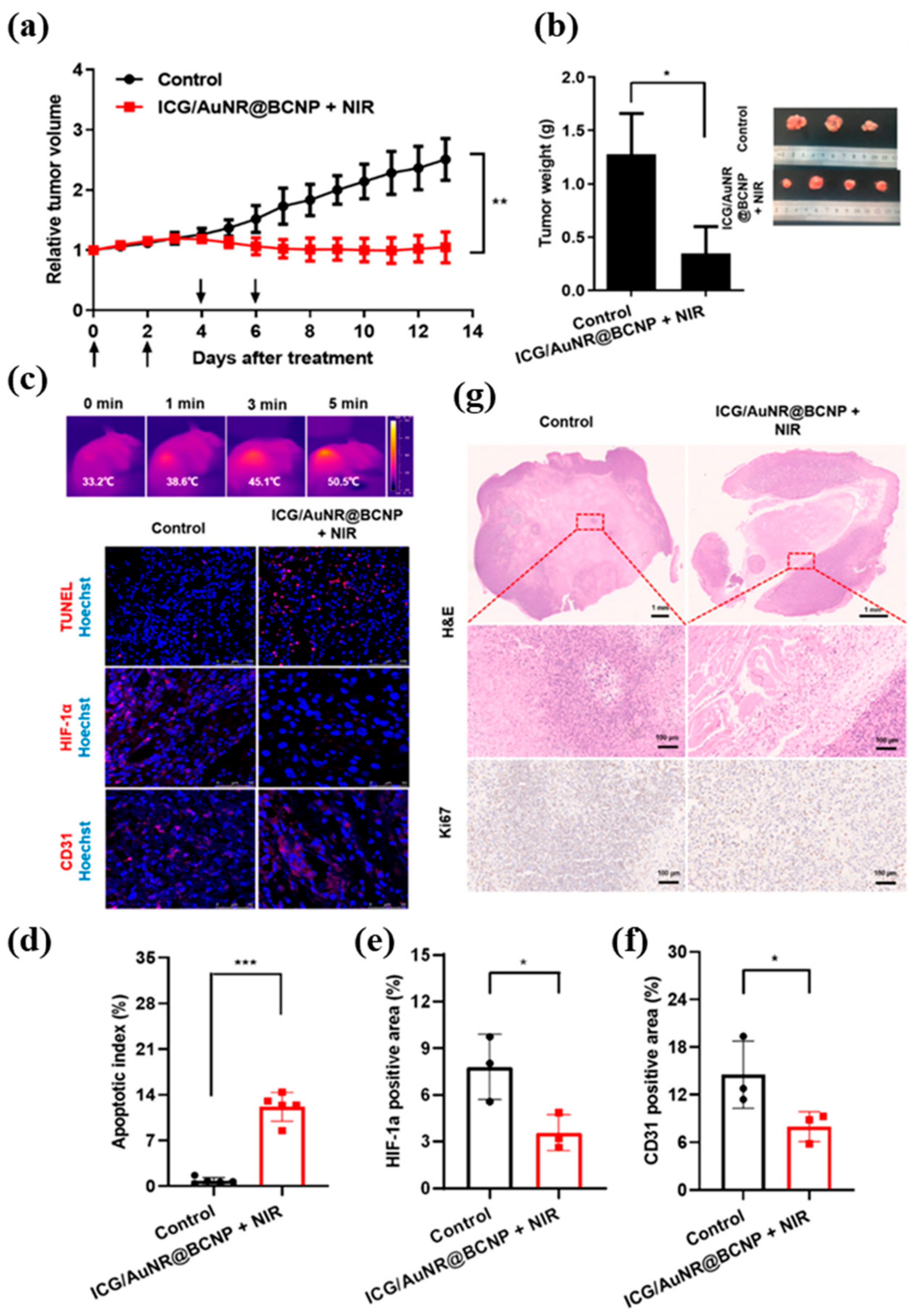 Biosensors 12 00336 g004