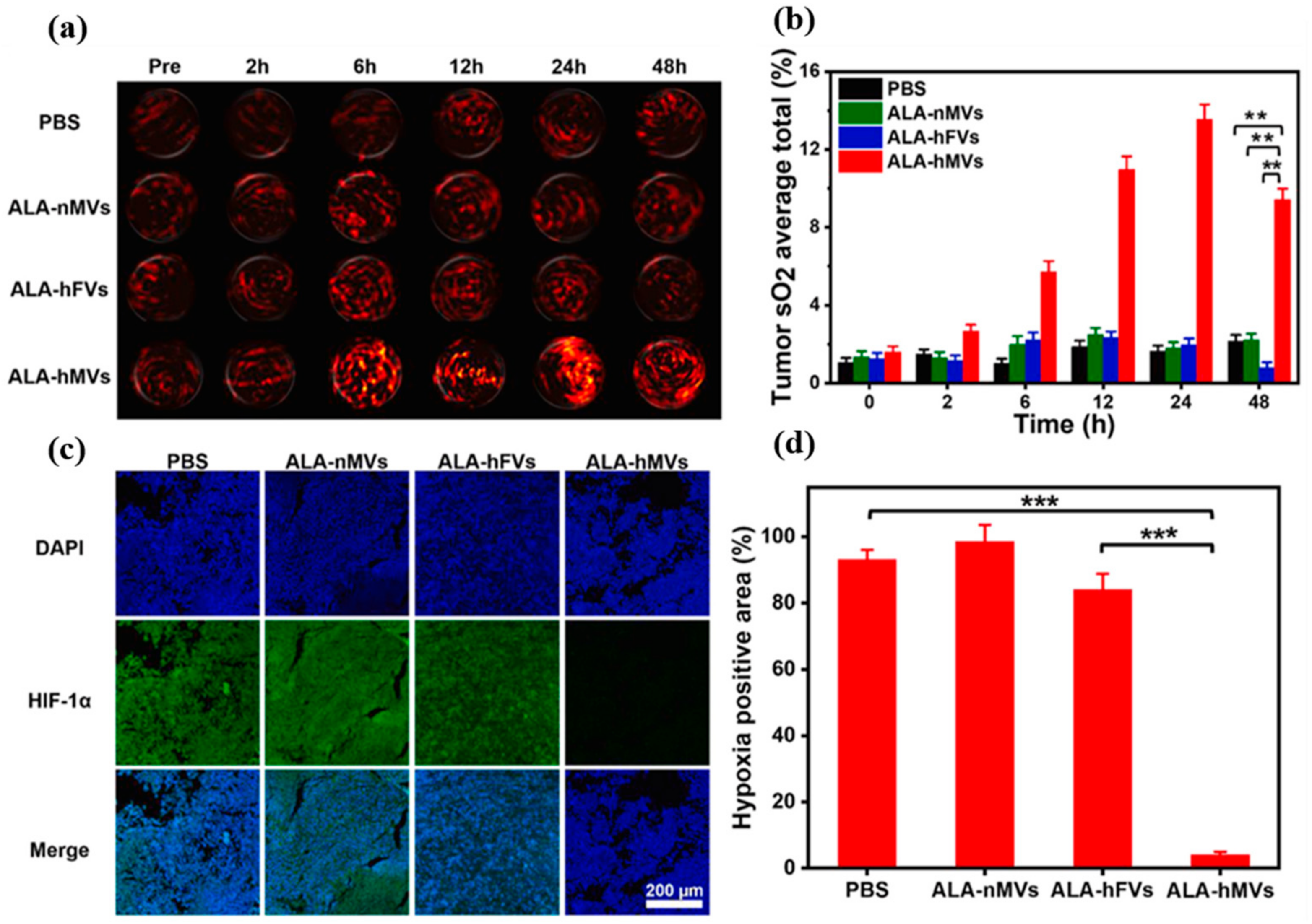 Biosensors 12 00336 g006