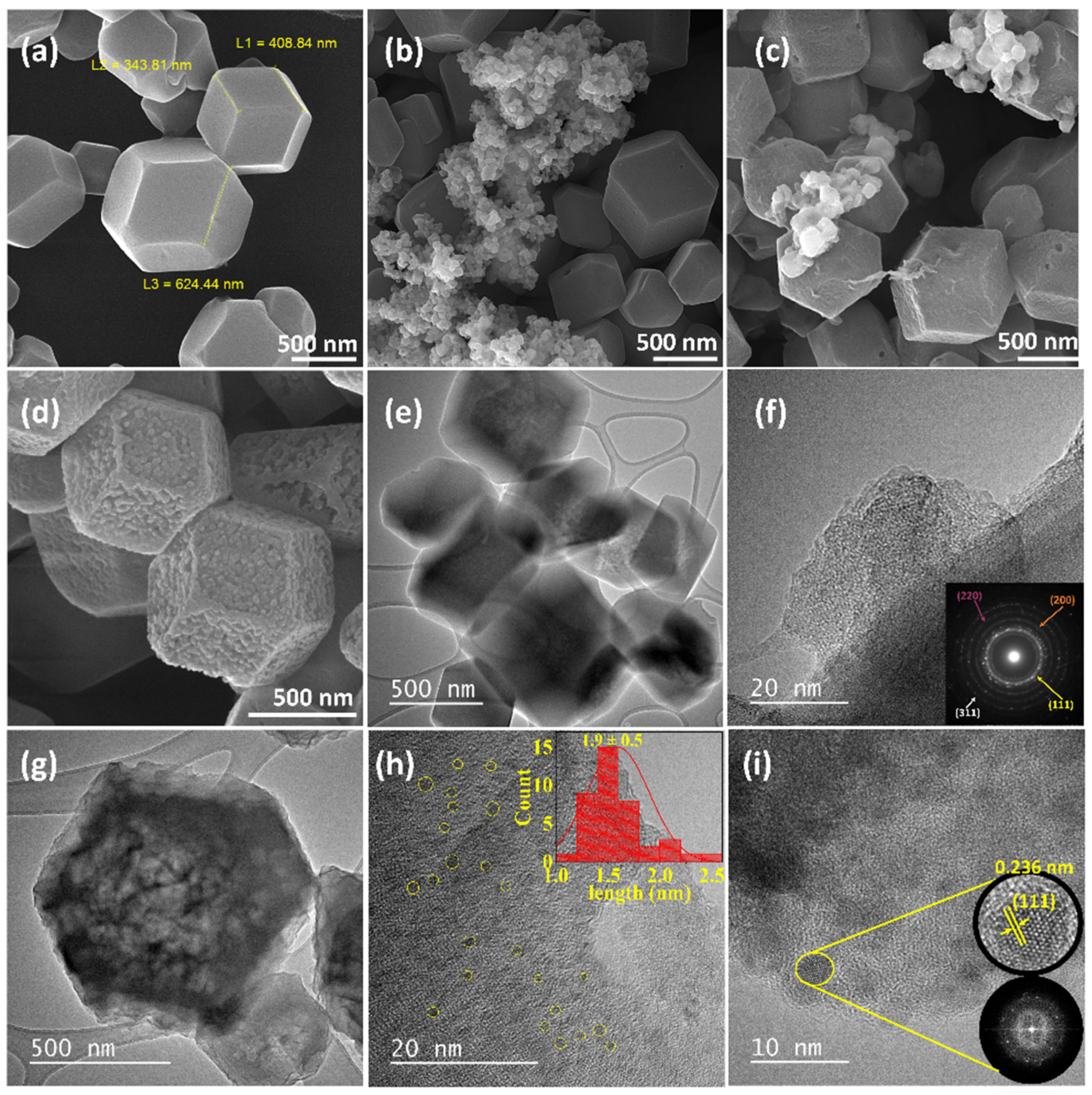 Biosensors 12 00337 g001 550
