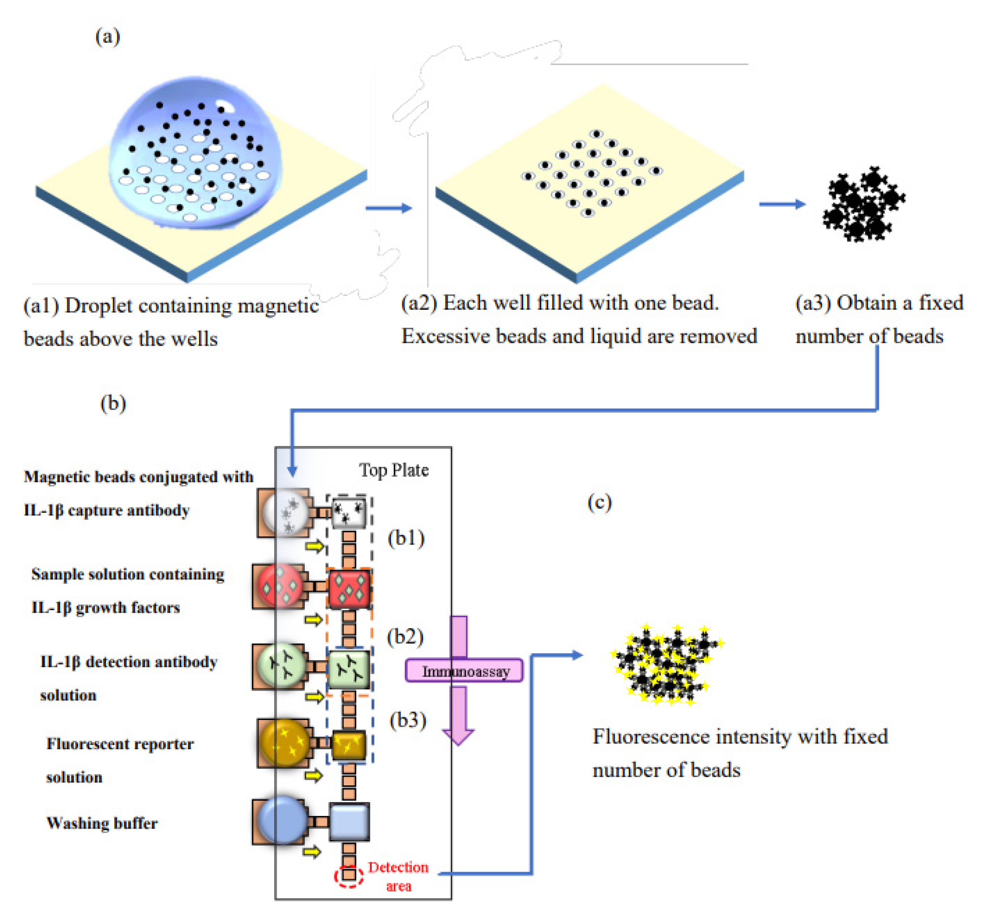 Biosensors | Free Bead Number Effect in a Magnetic-Beads-Based Digital Immunoassay