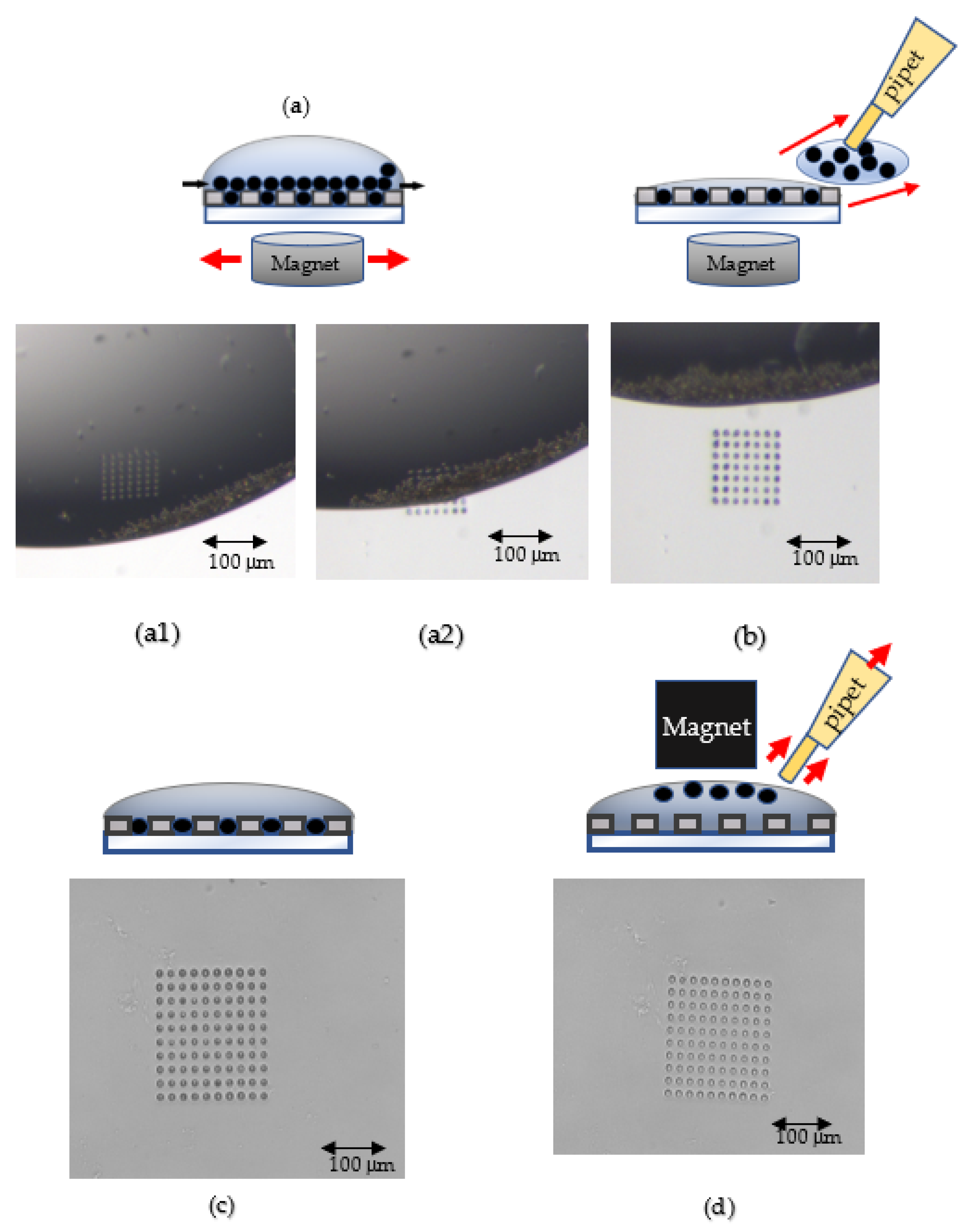Biosensors 12 00340 g002