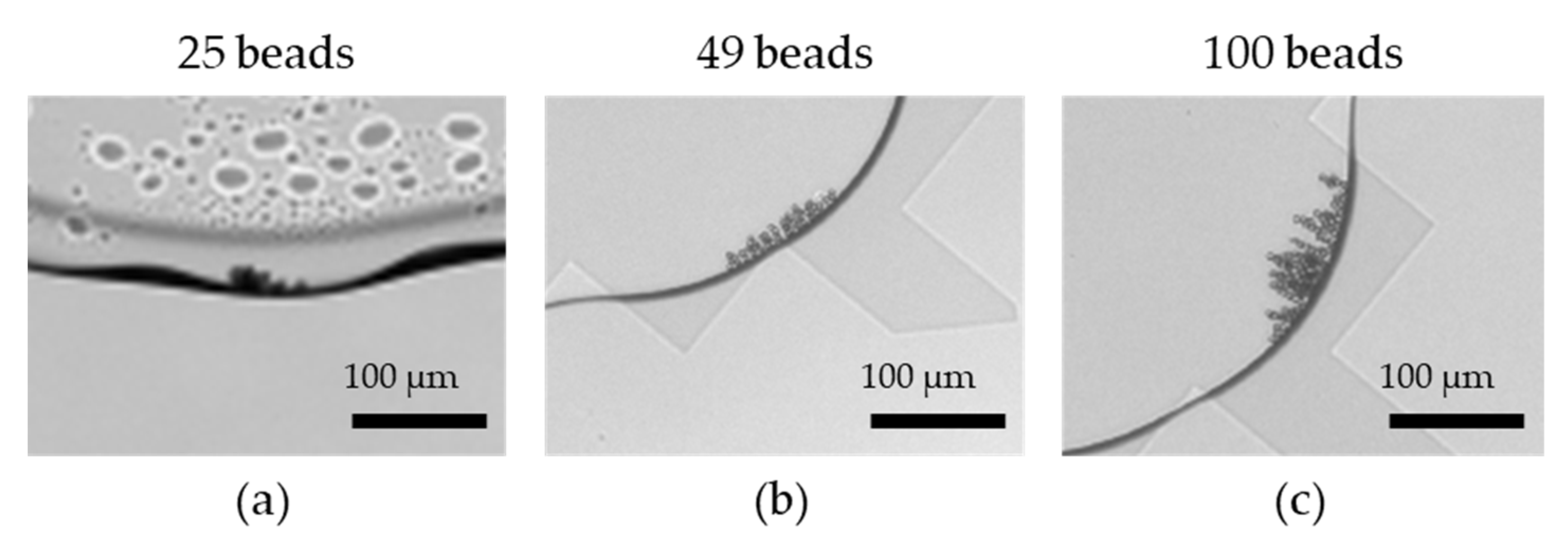 Biosensors 12 00340 g007