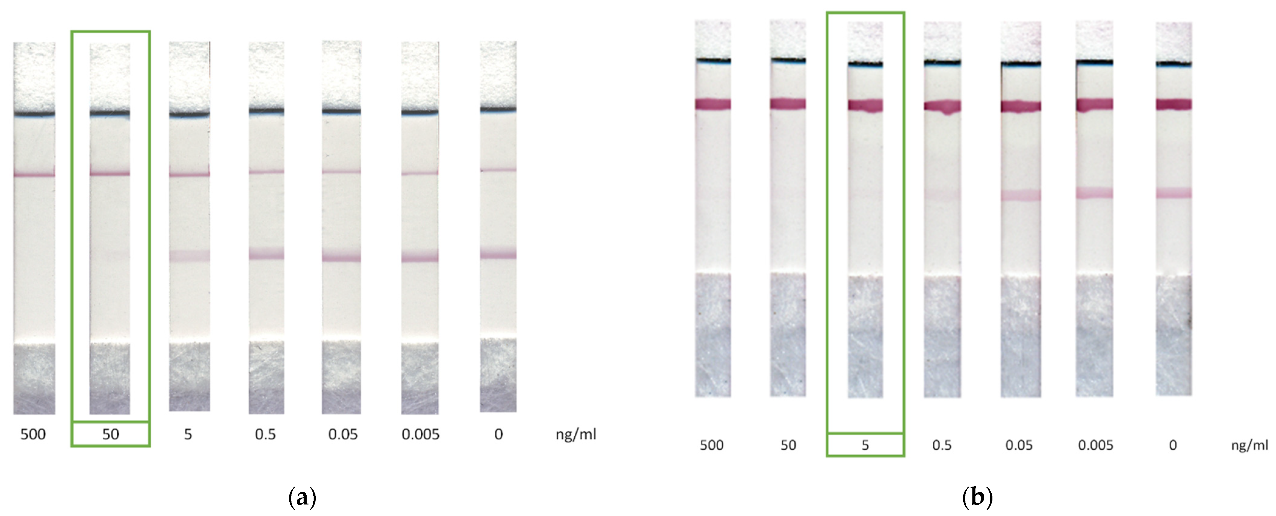Biosensors 12 00343 g005