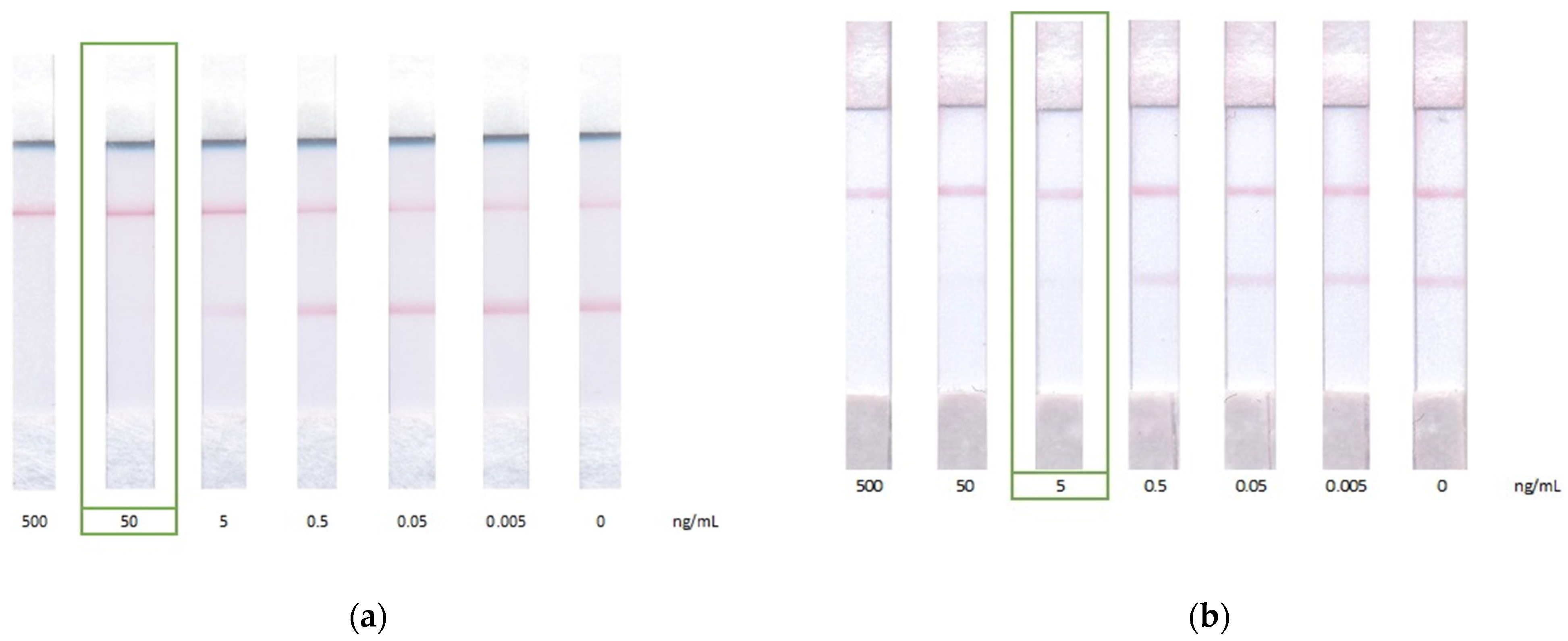 Biosensors 12 00343 g006
