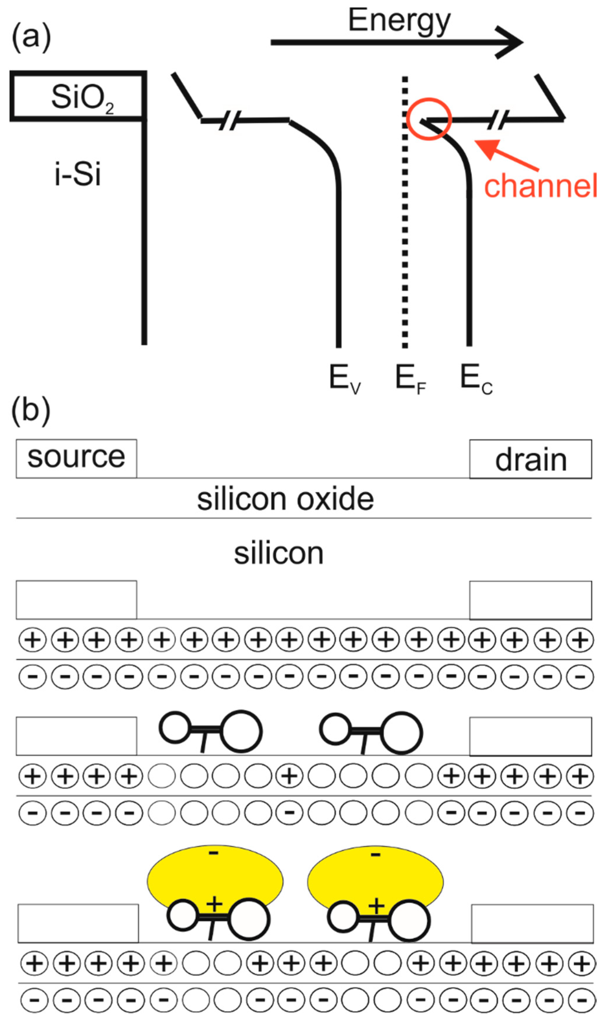 Biosensors 12 00347 g003