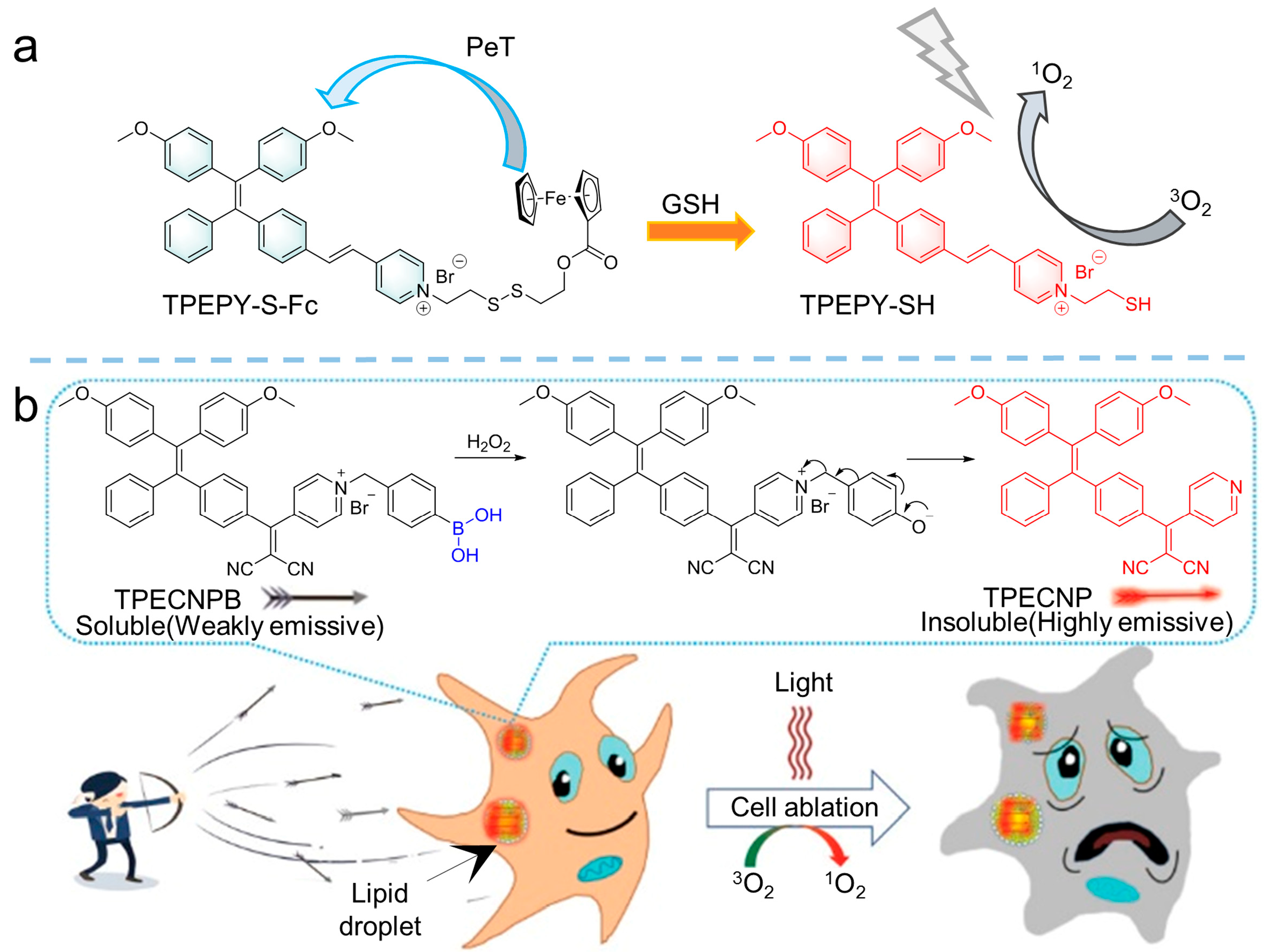 Biosensors 12 00348 g008 550