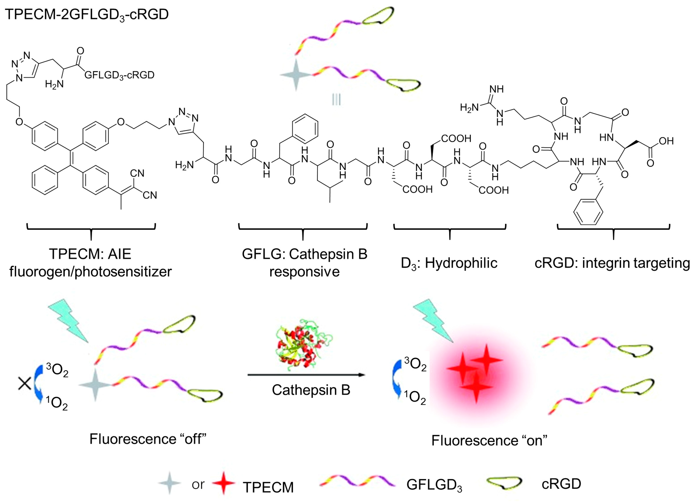 Biosensors 12 00348 g009 550