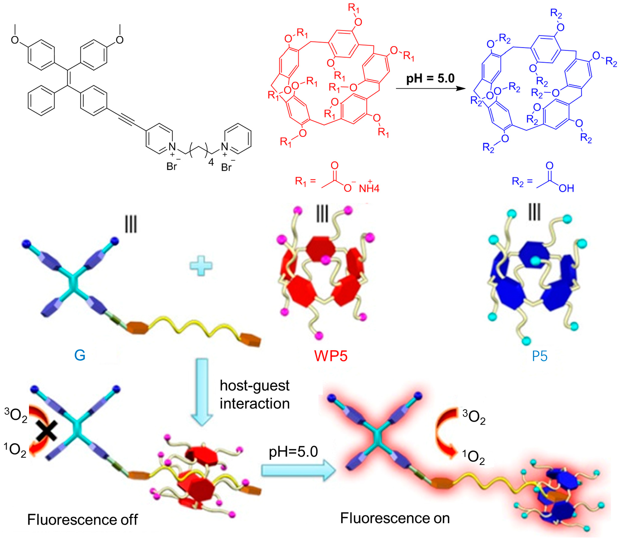Biosensors 12 00348 g010 550