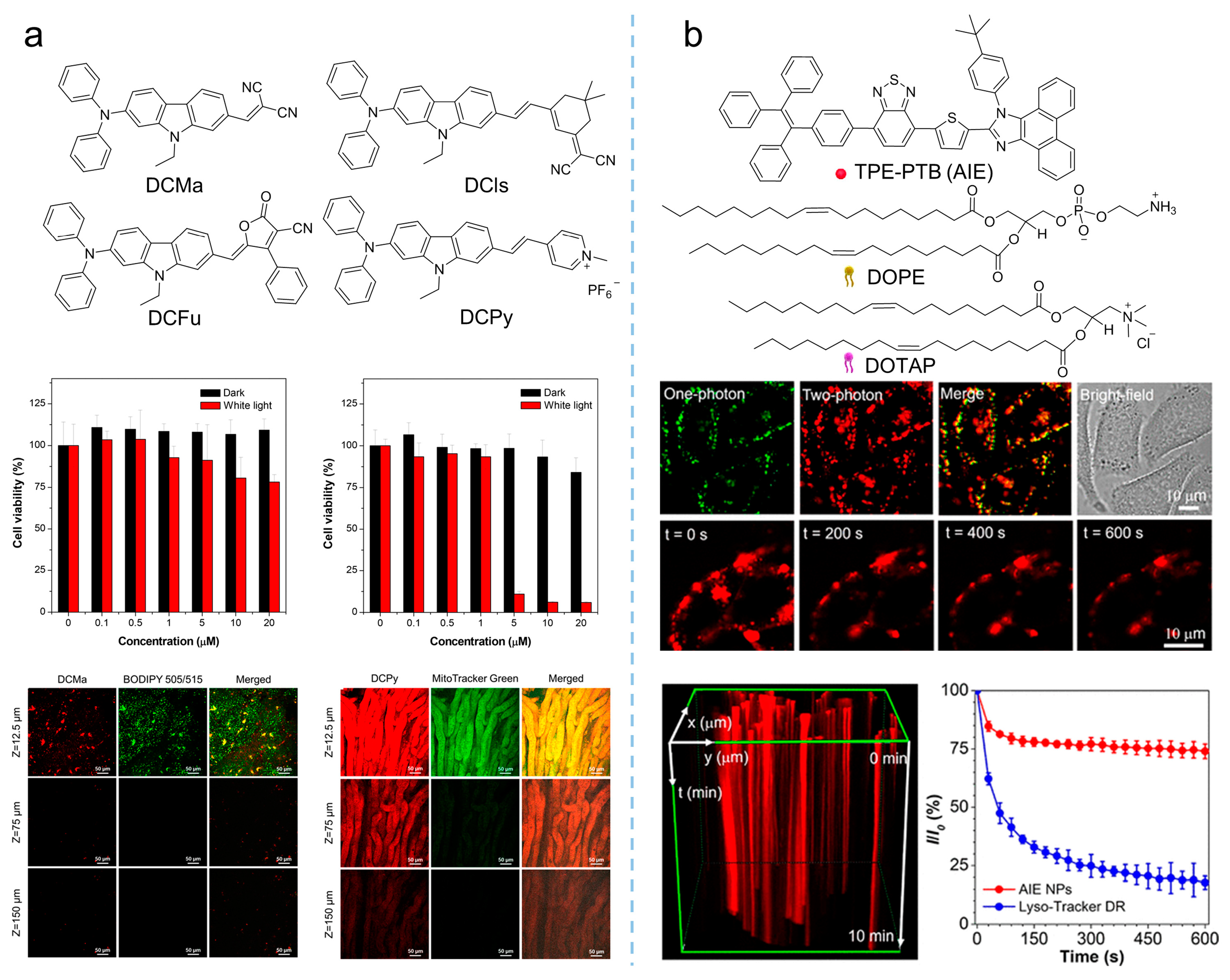 Biosensors 12 00348 g014 550
