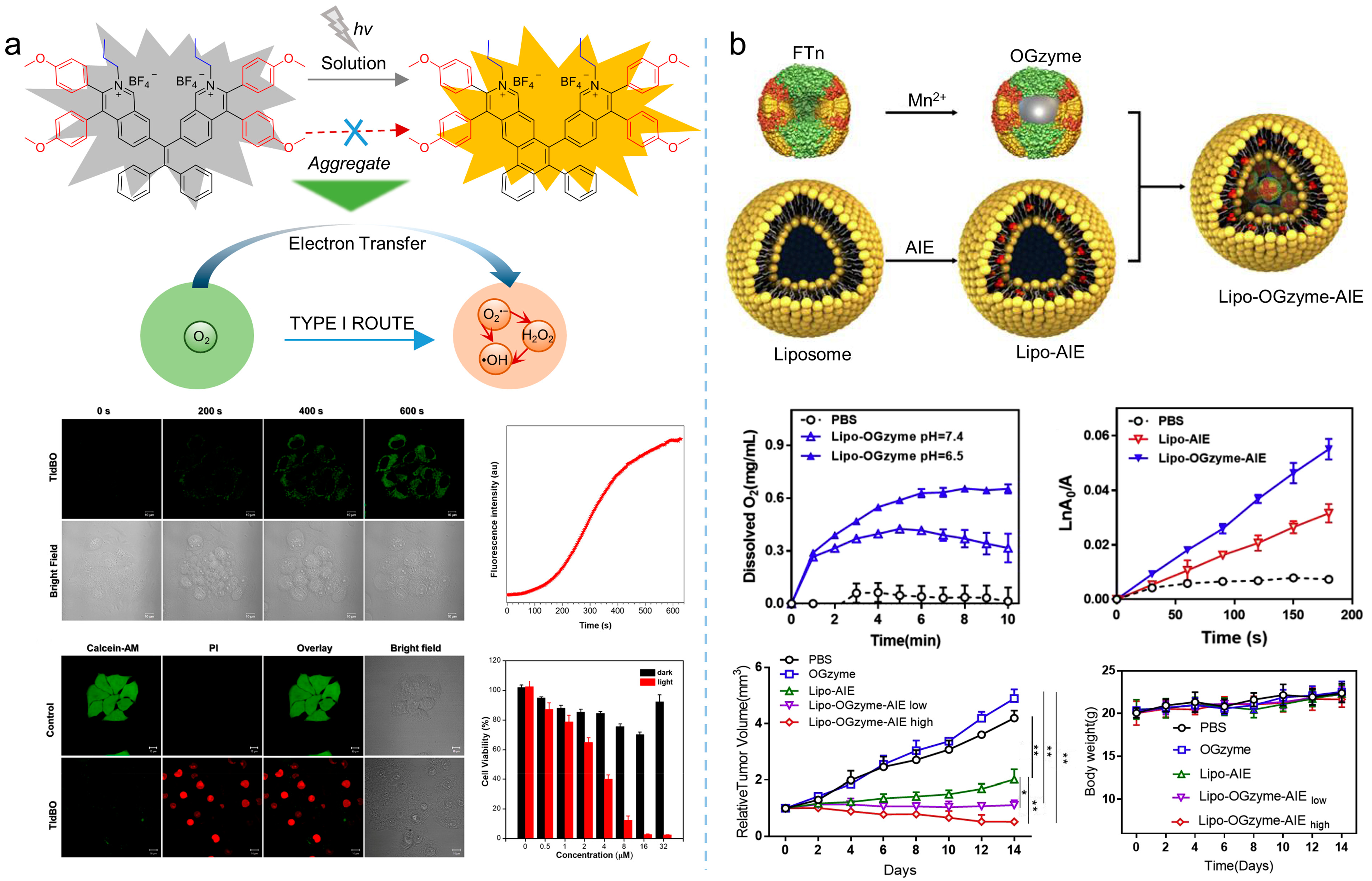 Biosensors 12 00348 g016 550