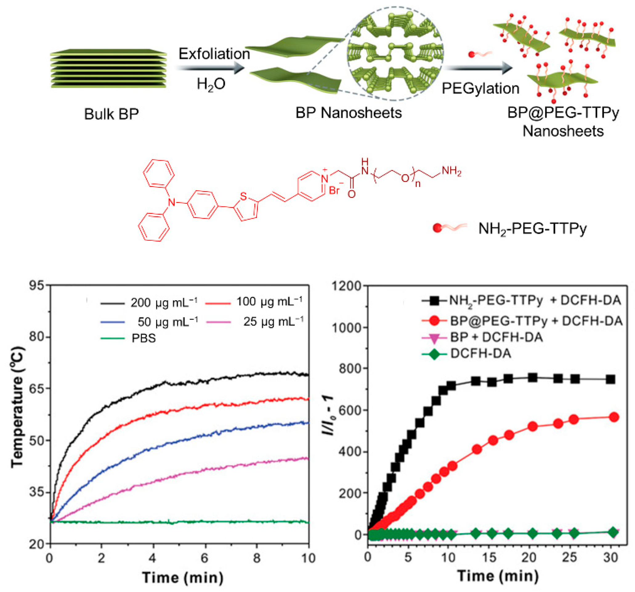 Biosensors 12 00348 g017 550