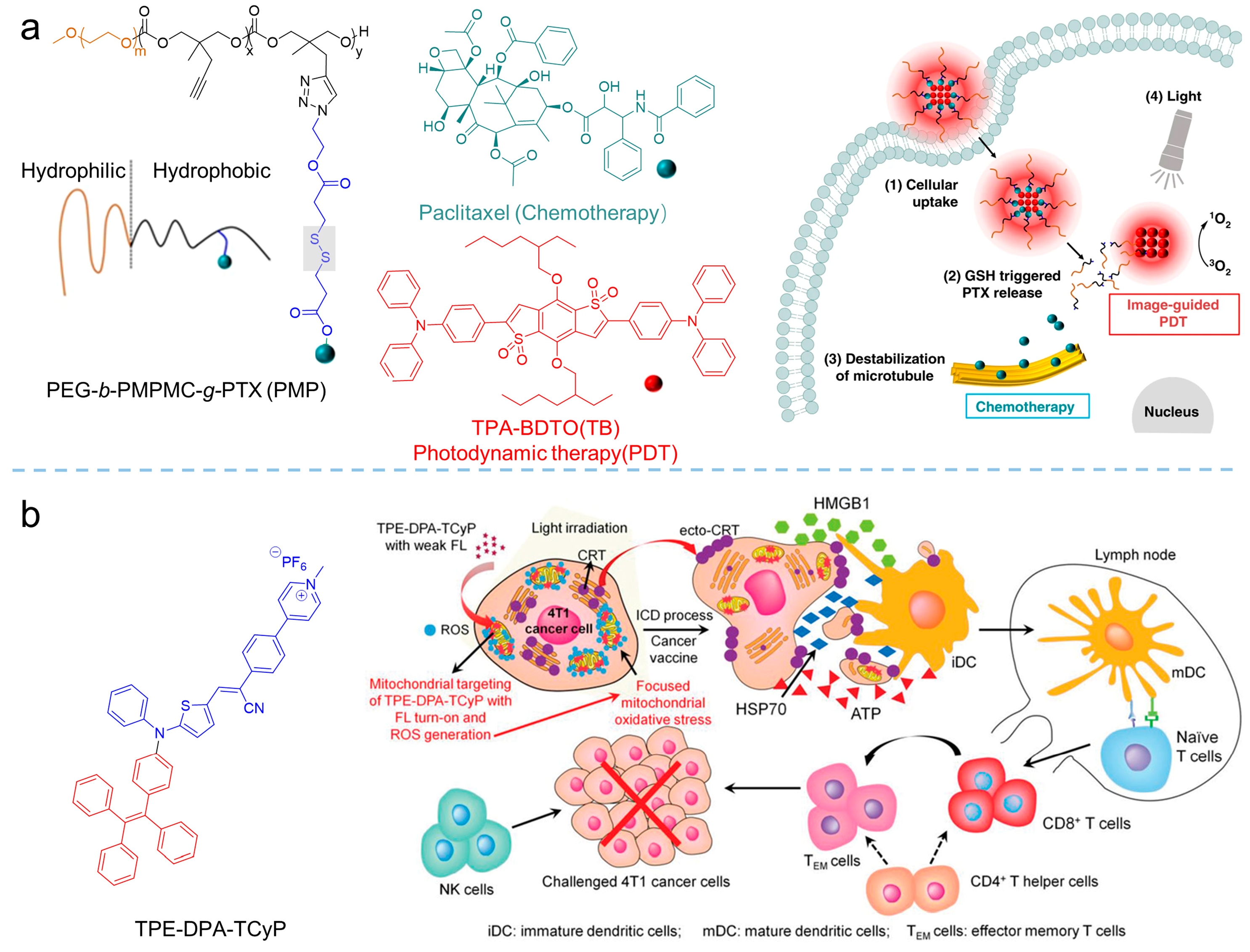 Biosensors 12 00348 g018 550