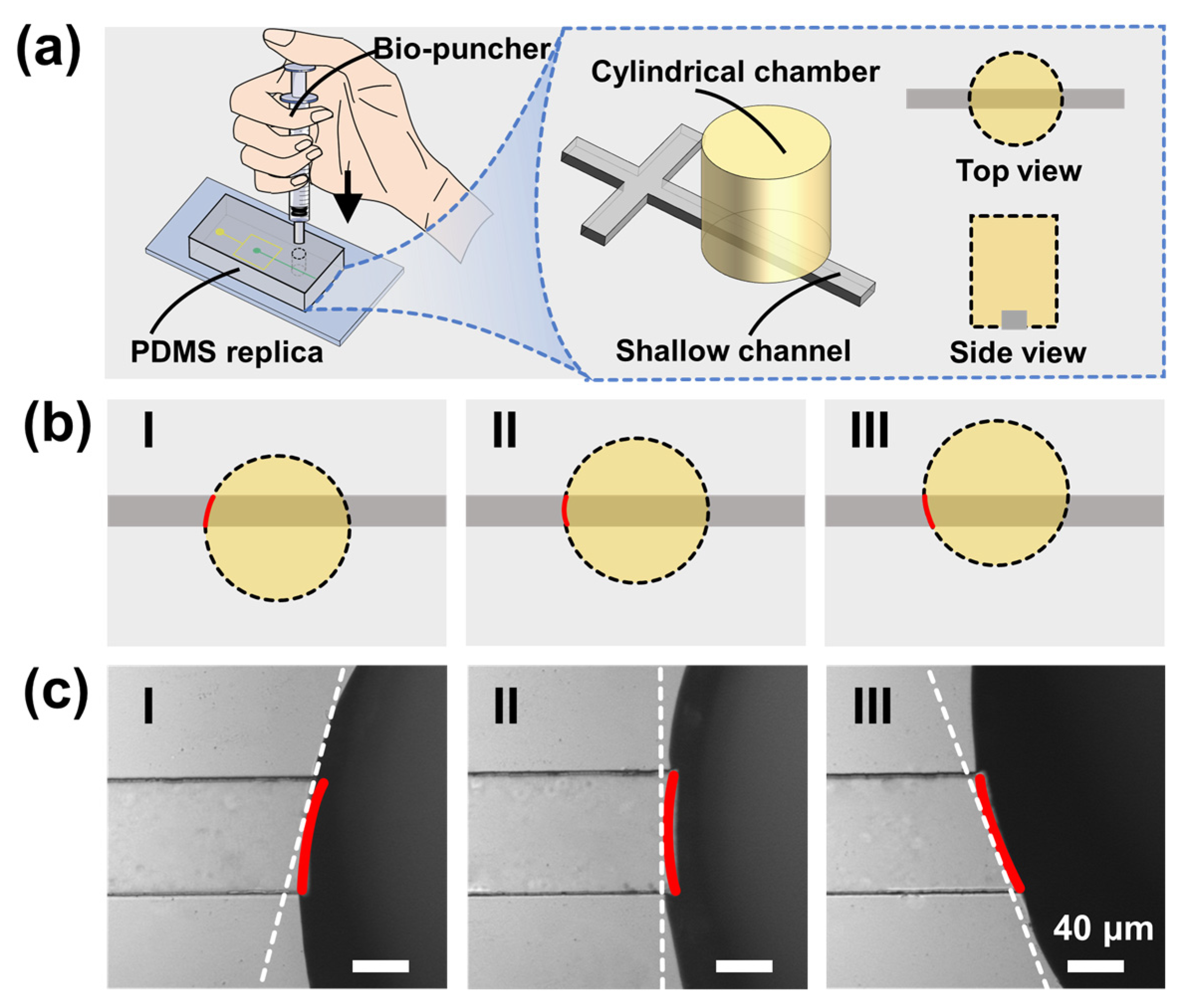 Biosensors 12 00350 g002 550