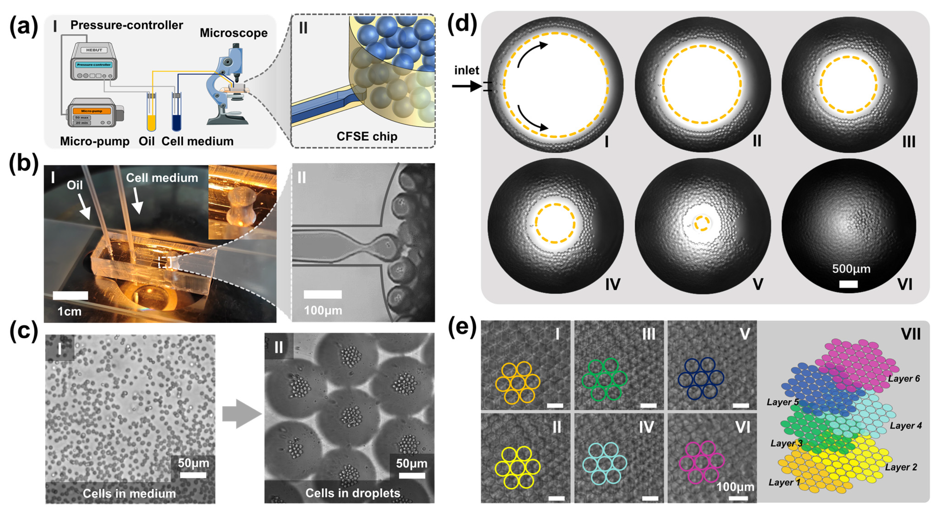 Biosensors 12 00350 g003 550