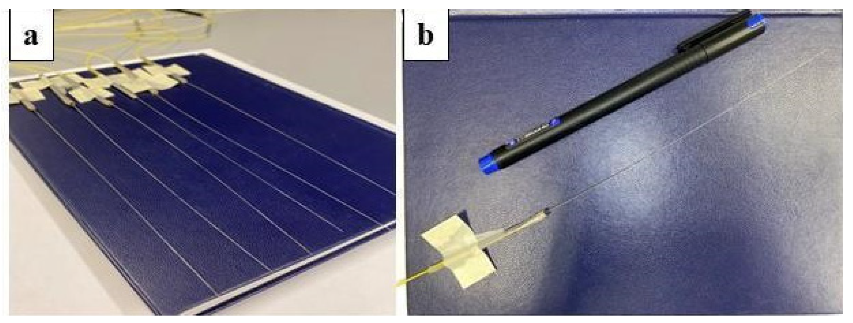 Biosensors 12 00352 g002