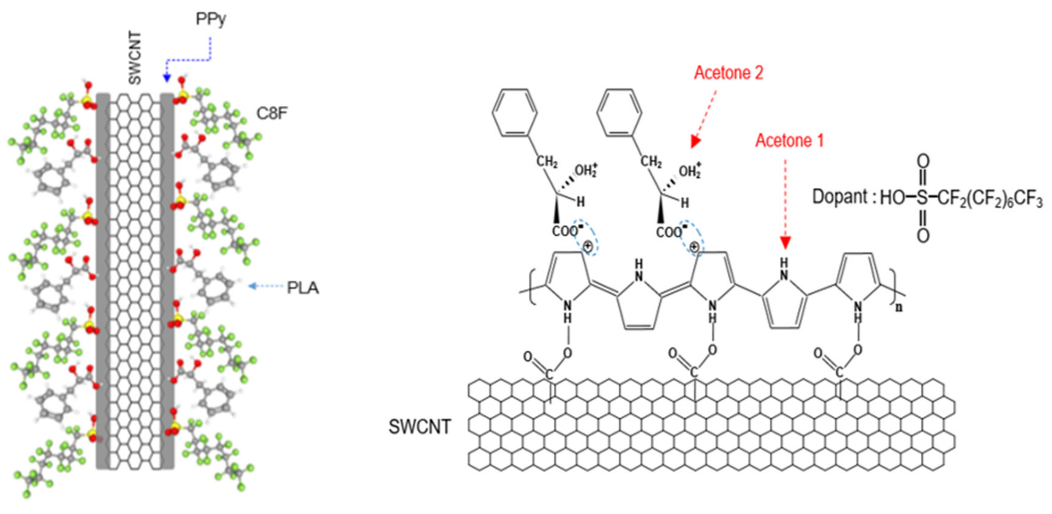Biosensors 12 00354 g001