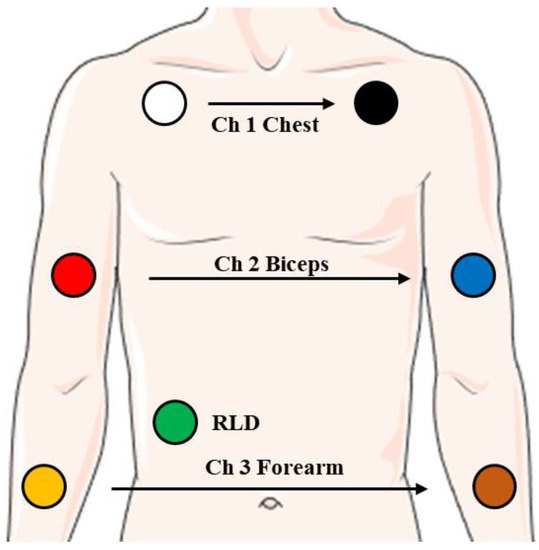 An Artifact-Resistant Feature SKNAER for Quantifying the