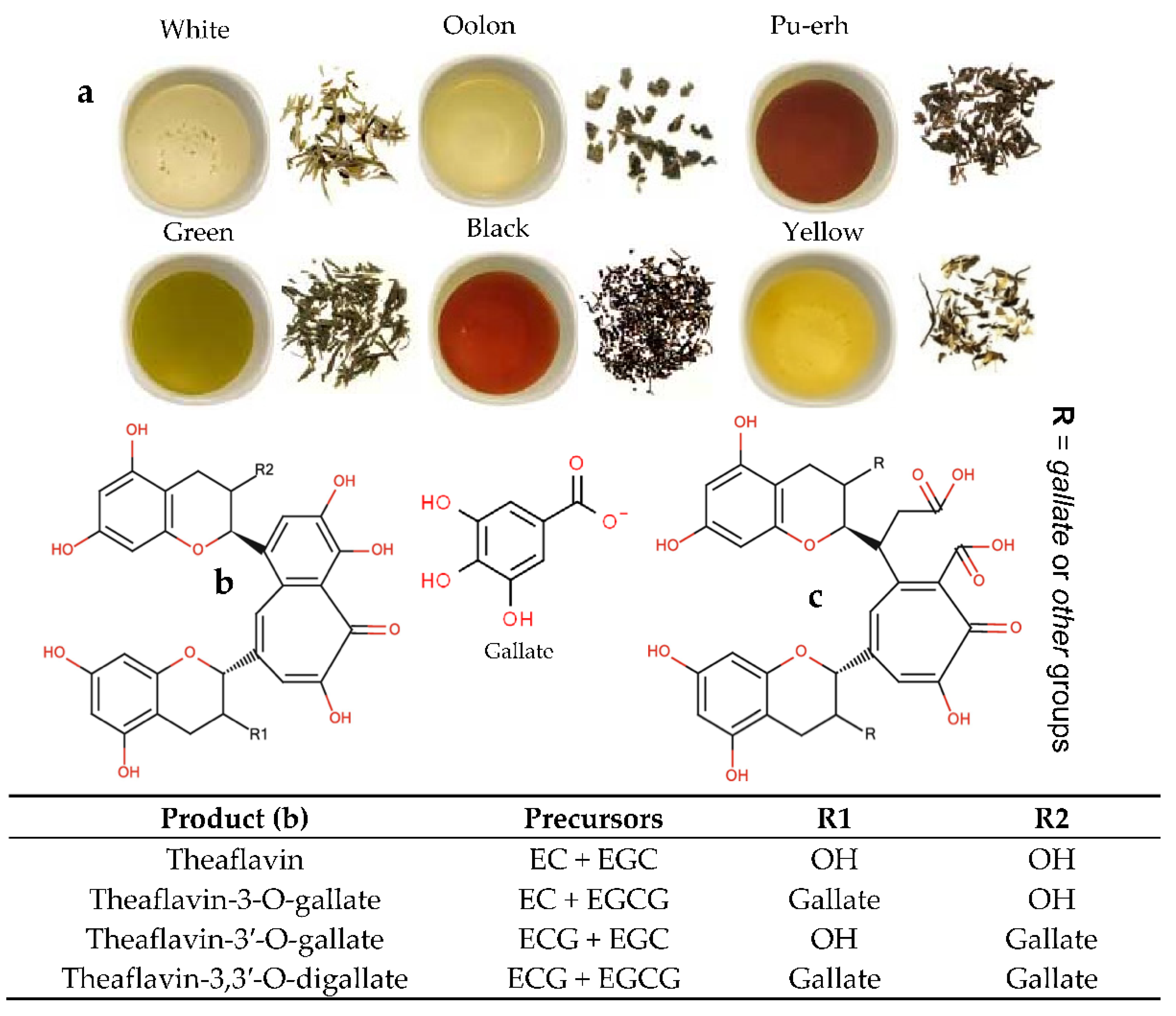Biosensors 12 00356 g001