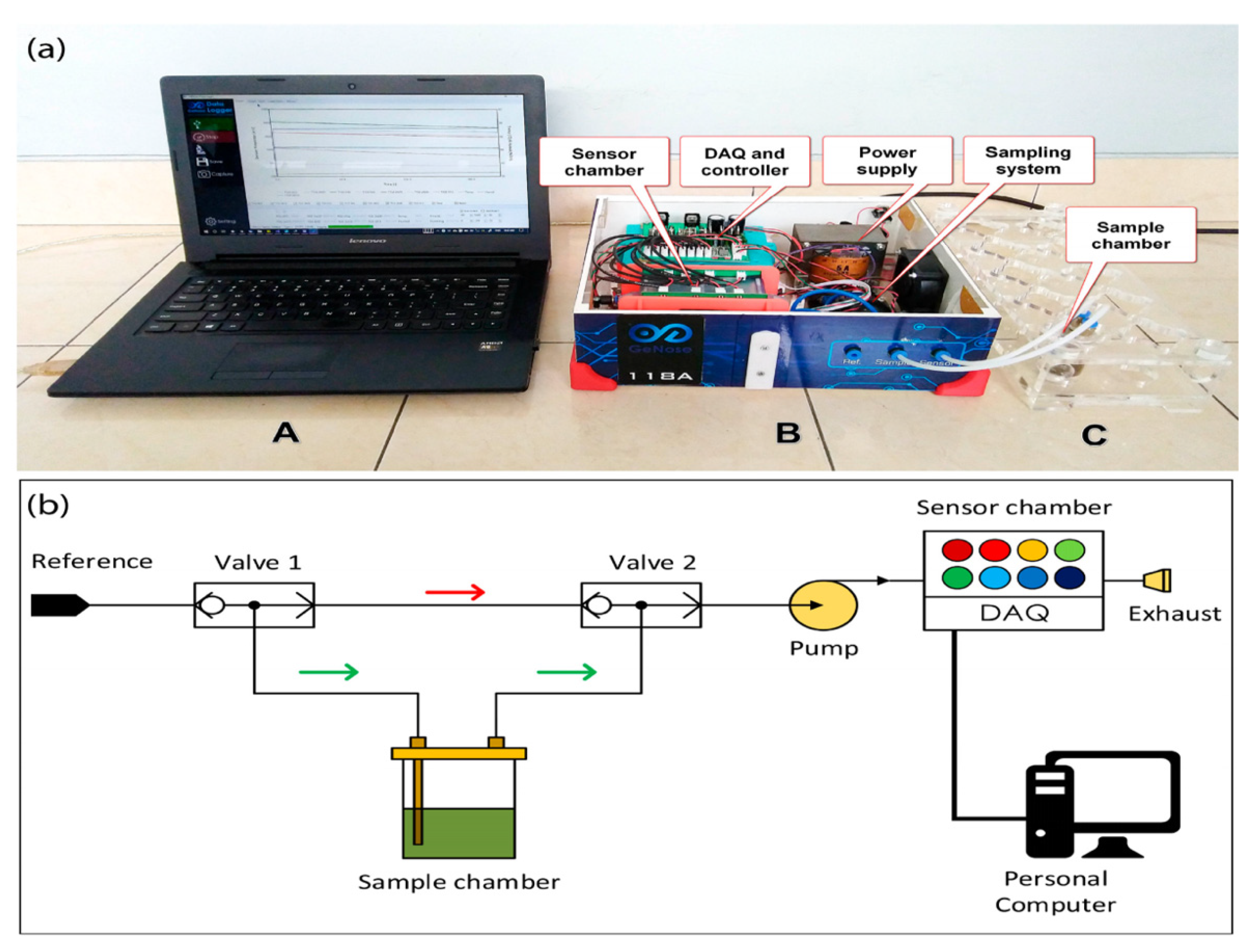 Biosensors 12 00356 g002