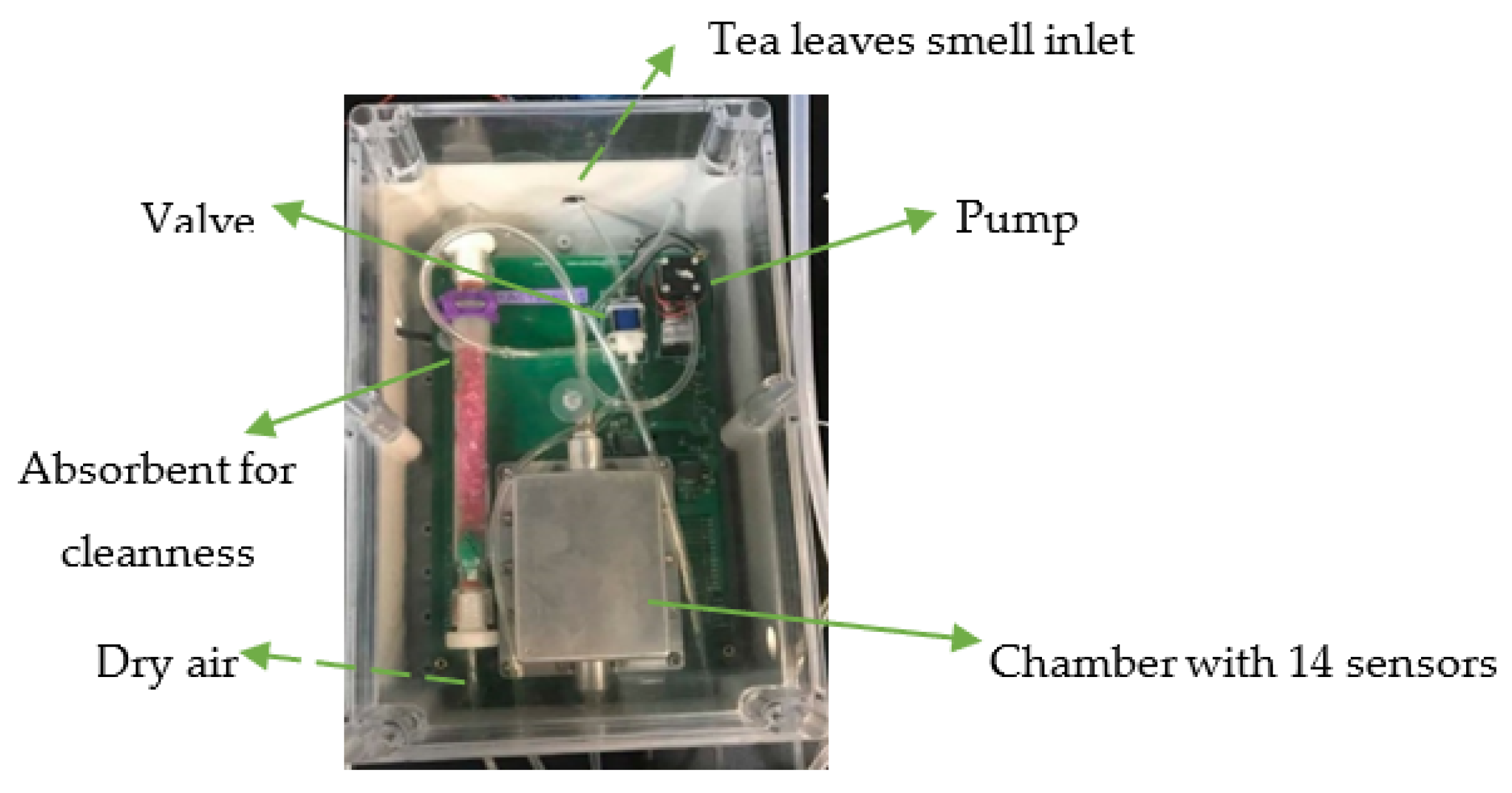 Biosensors 12 00356 g003