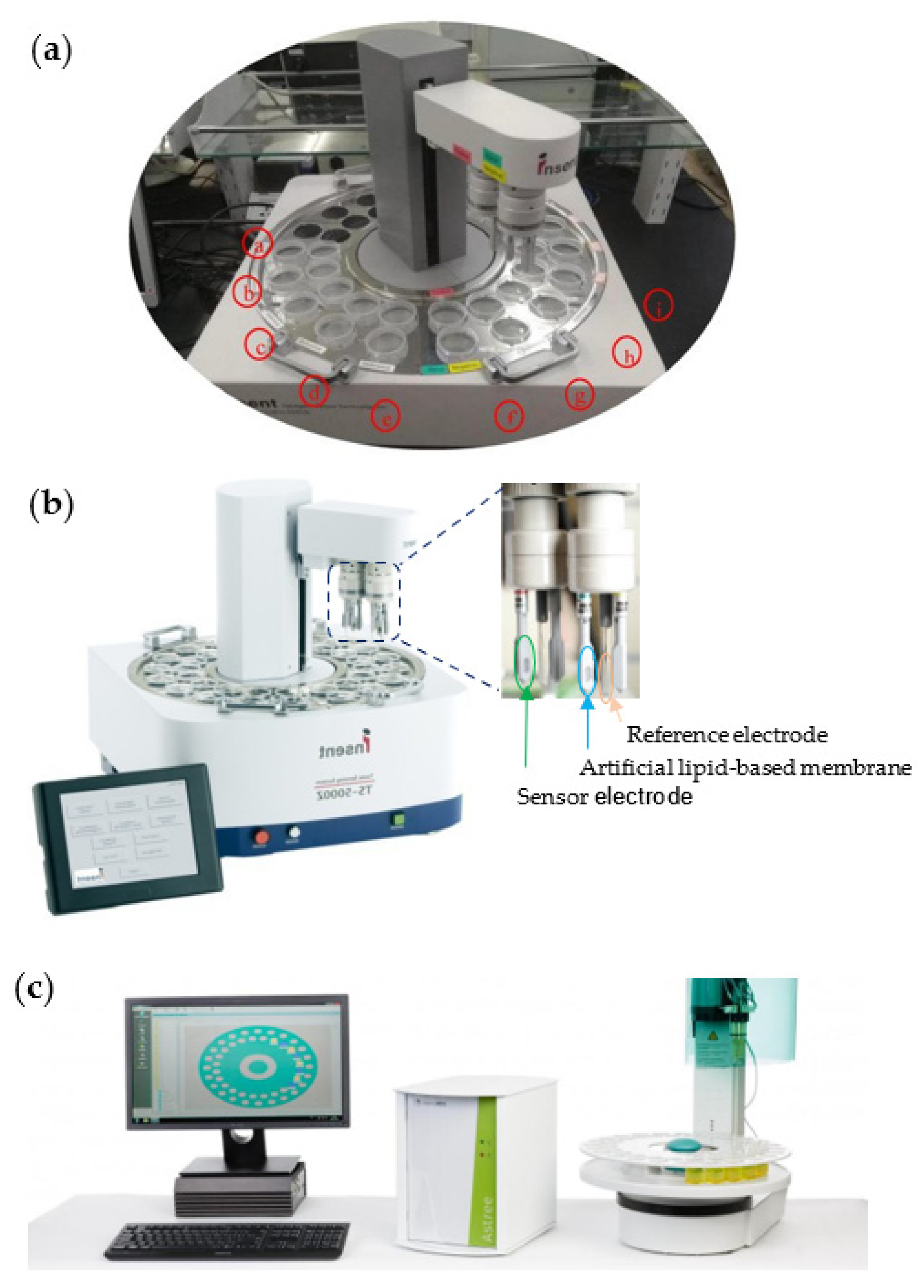 Biosensors 12 00356 g004