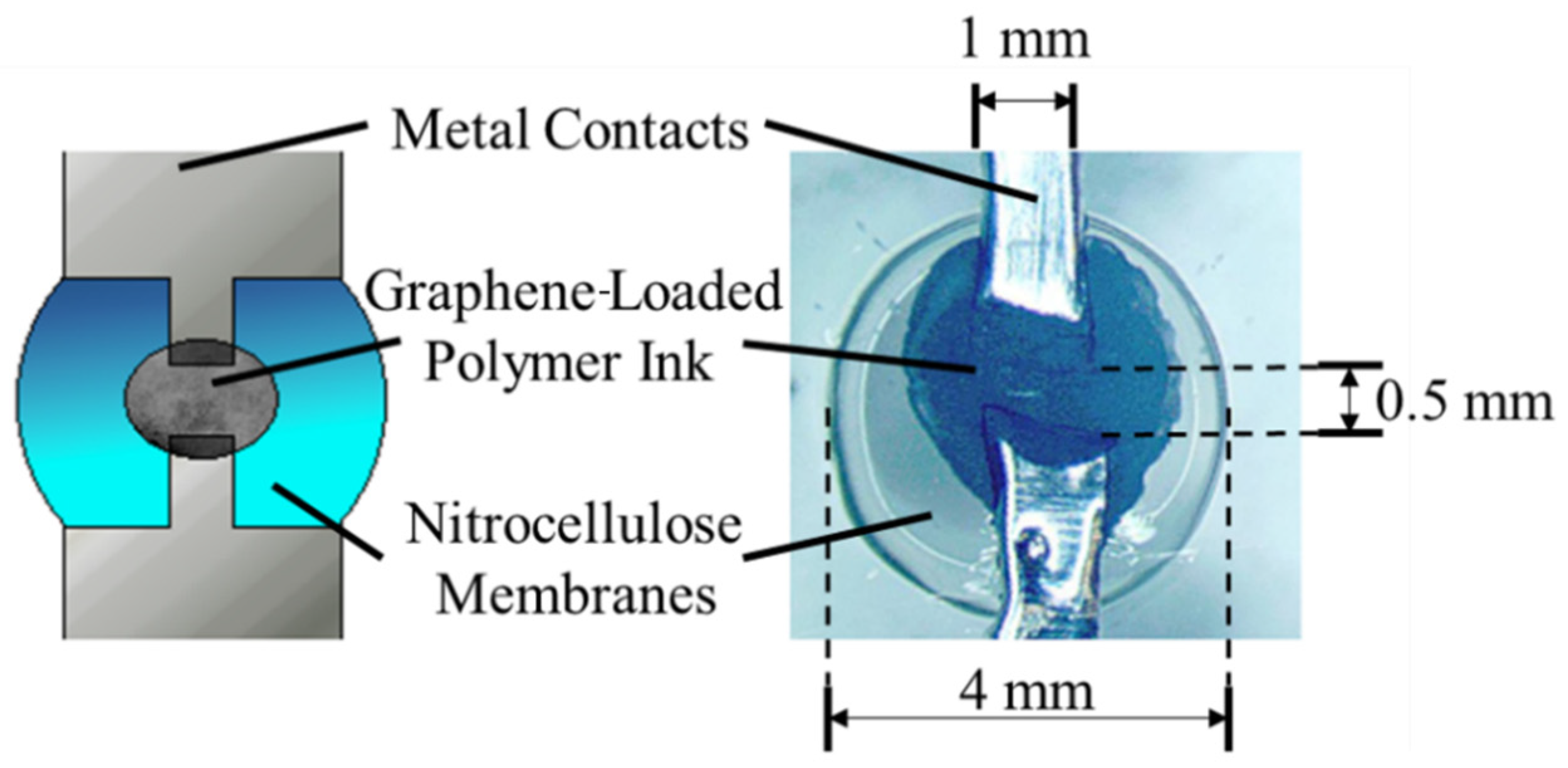 Biosensors 12 00358 g002 Biosensors 12 00358 g002