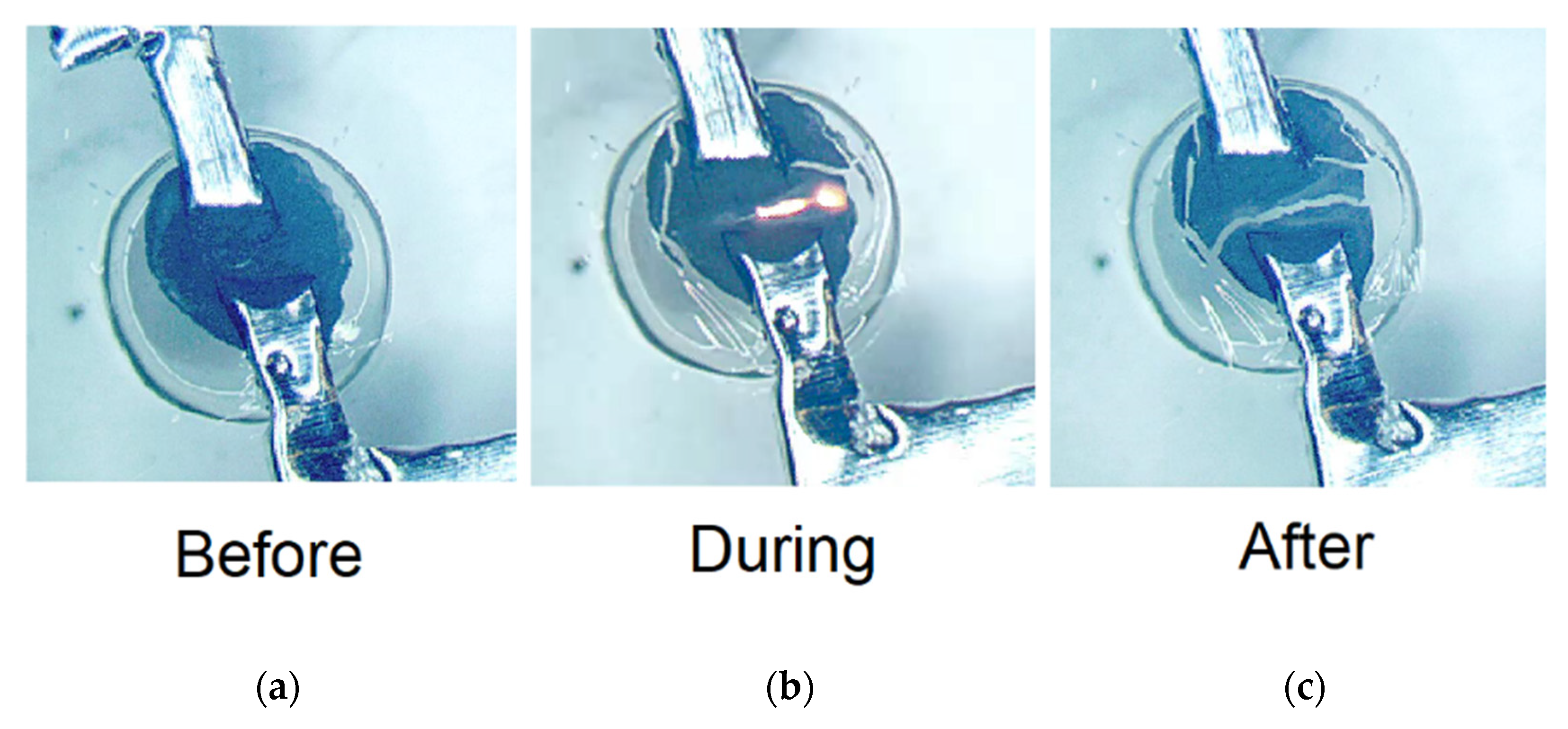 Biosensors 12 00358 g006 Biosensors 12 00358 g006