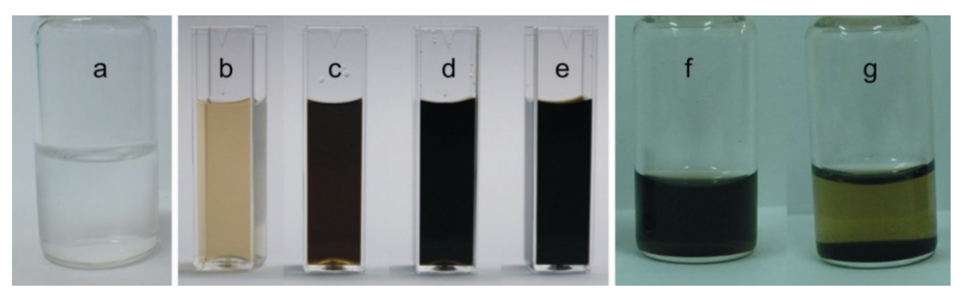 Biosensors 12 00360 g001