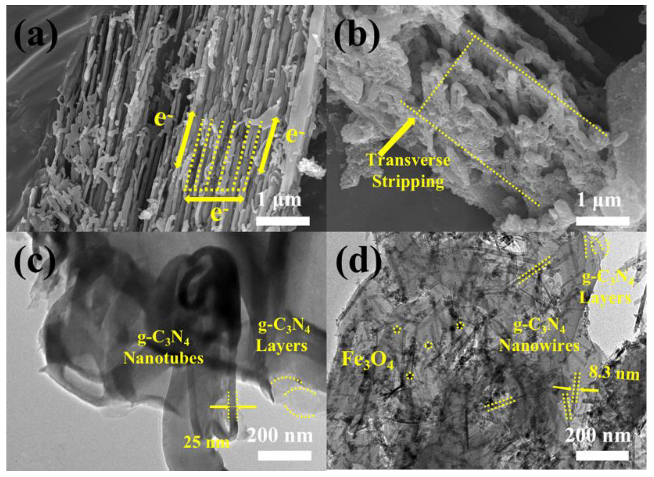 Biosensors 12 00361 g001