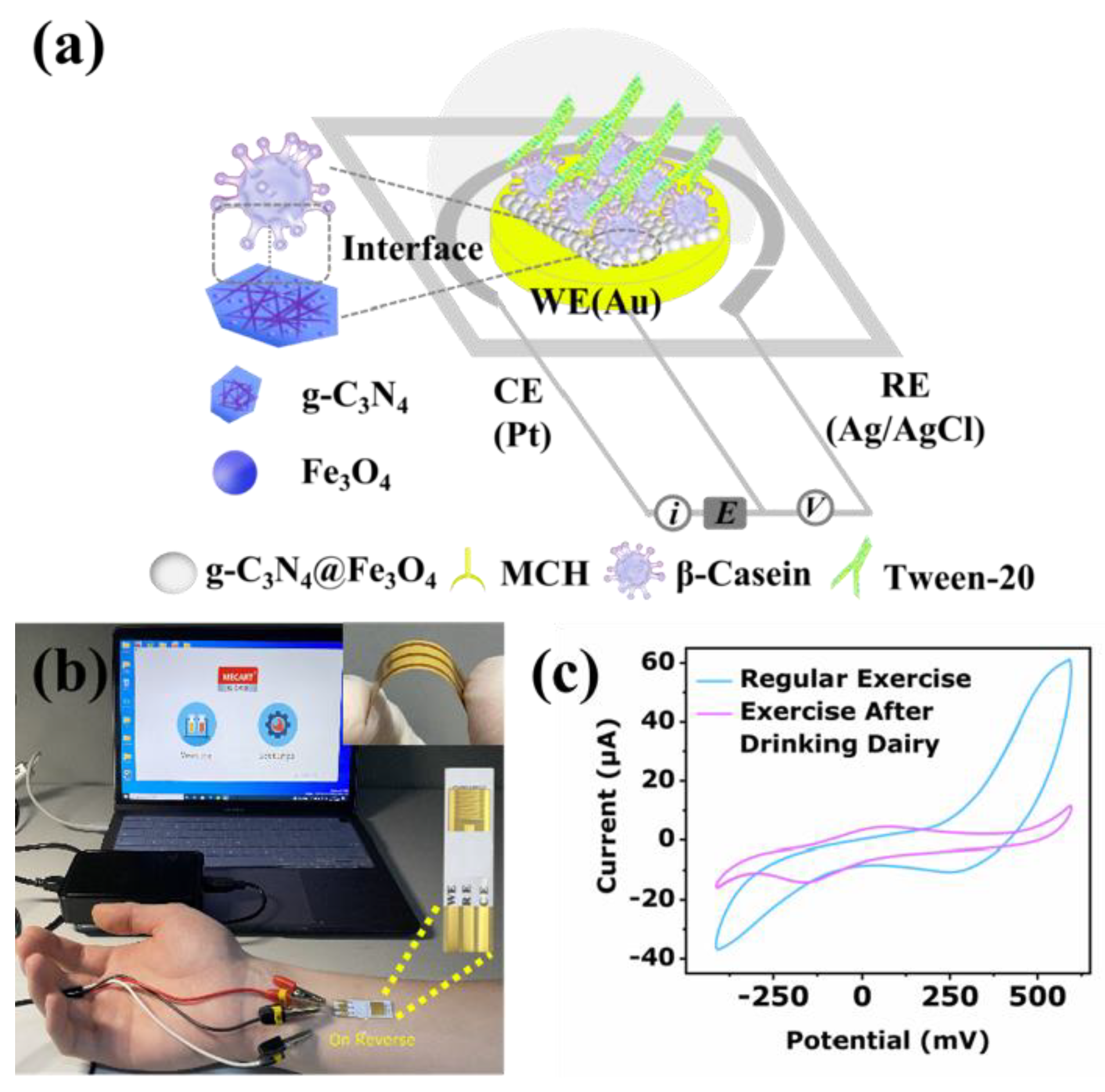 Biosensors 12 00361 g007