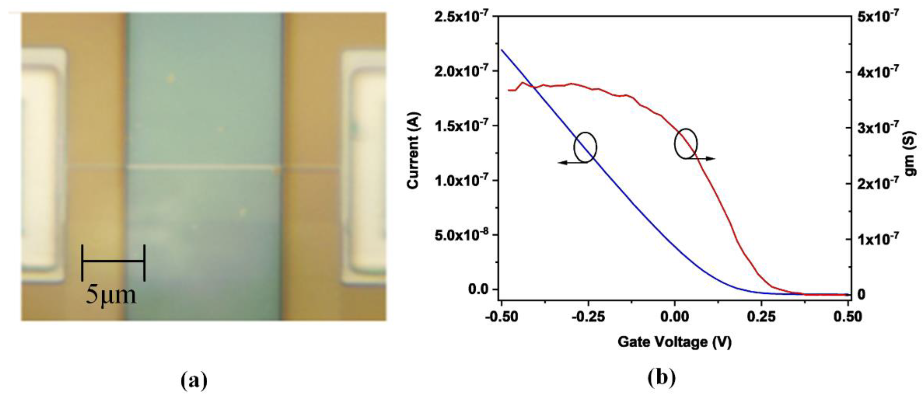 Biosensors 12 00368 g001 Biosensors 12 00368 g001