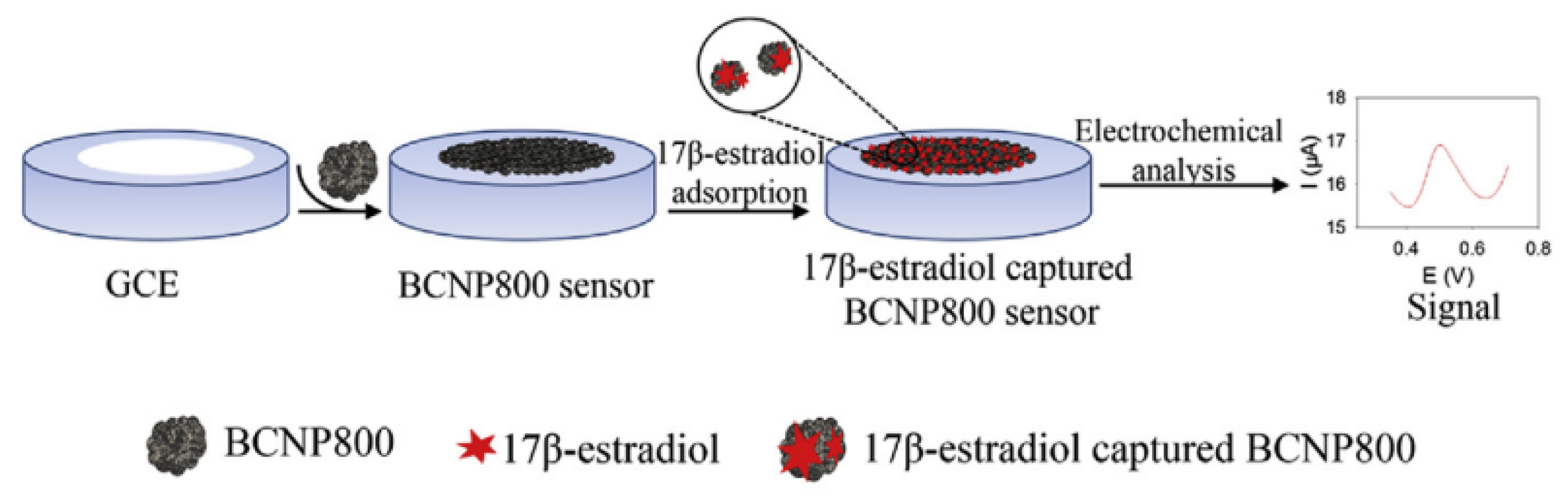 Biosensors 12 00377 g001