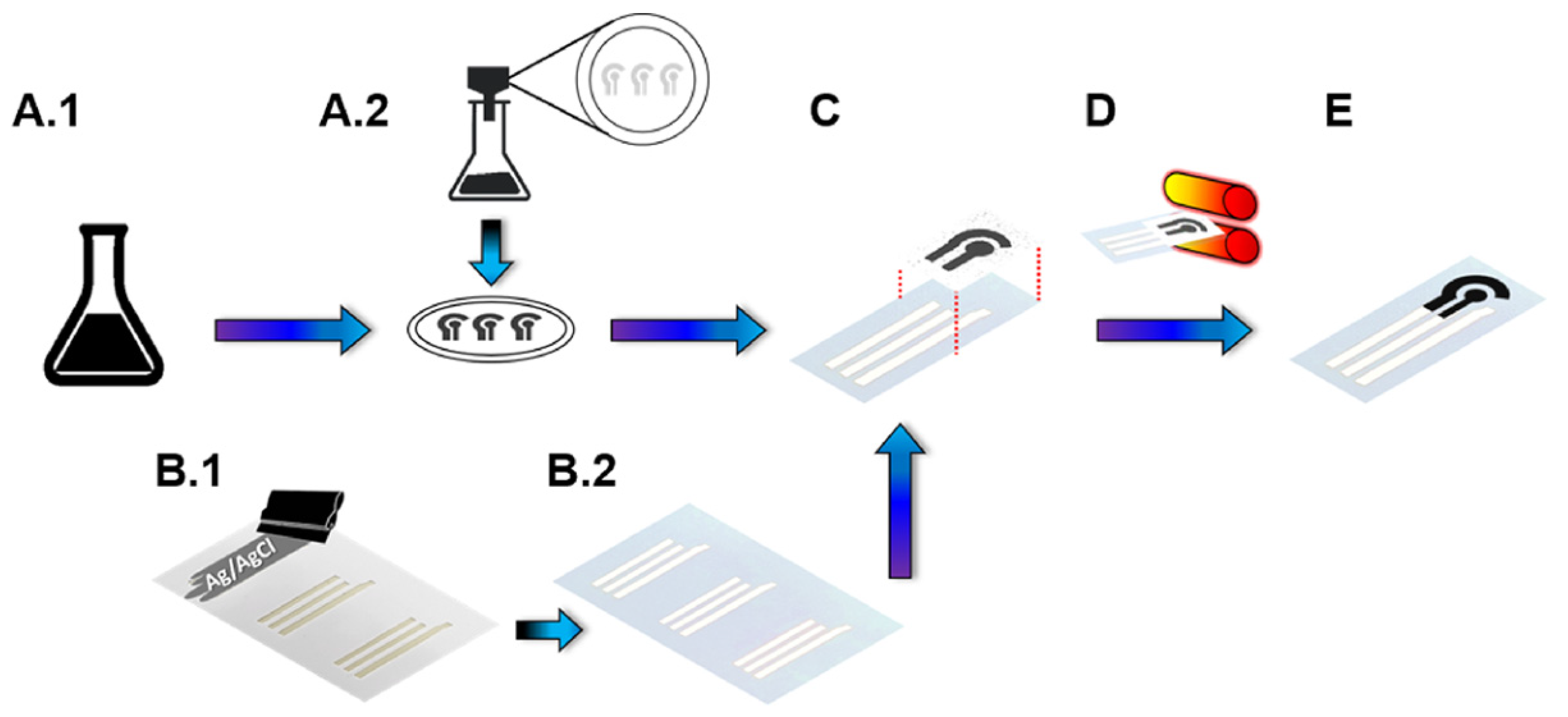 Biosensors 12 00377 g002