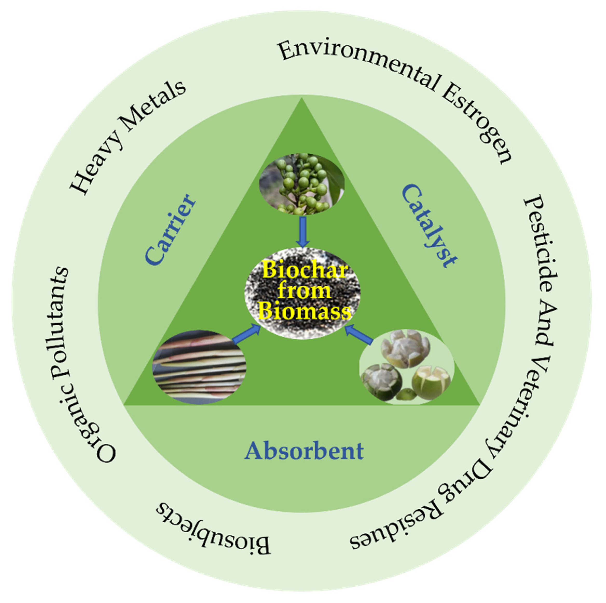 Biosensors 12 00377 sch001