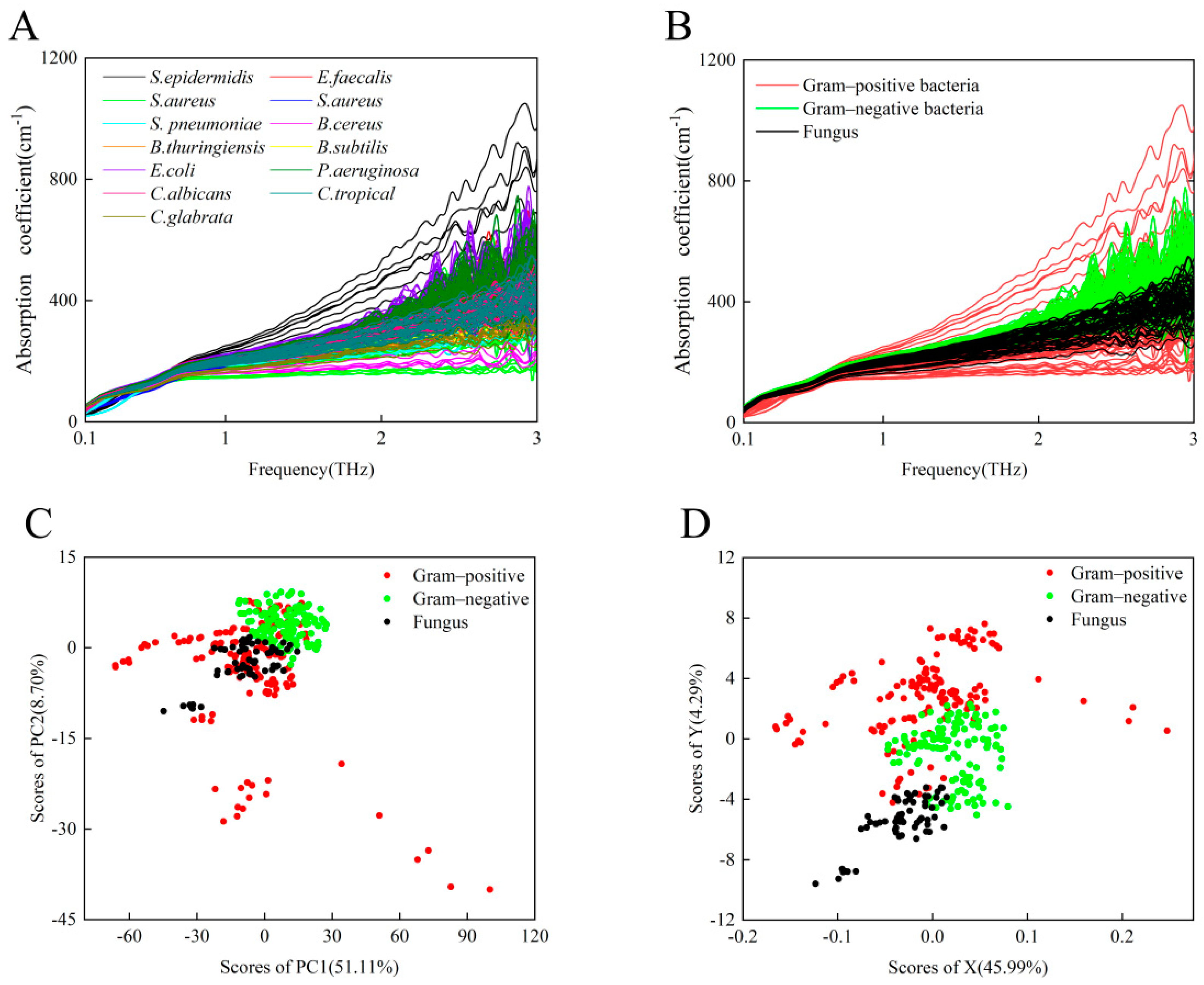 Biosensors 12 00378 g002
