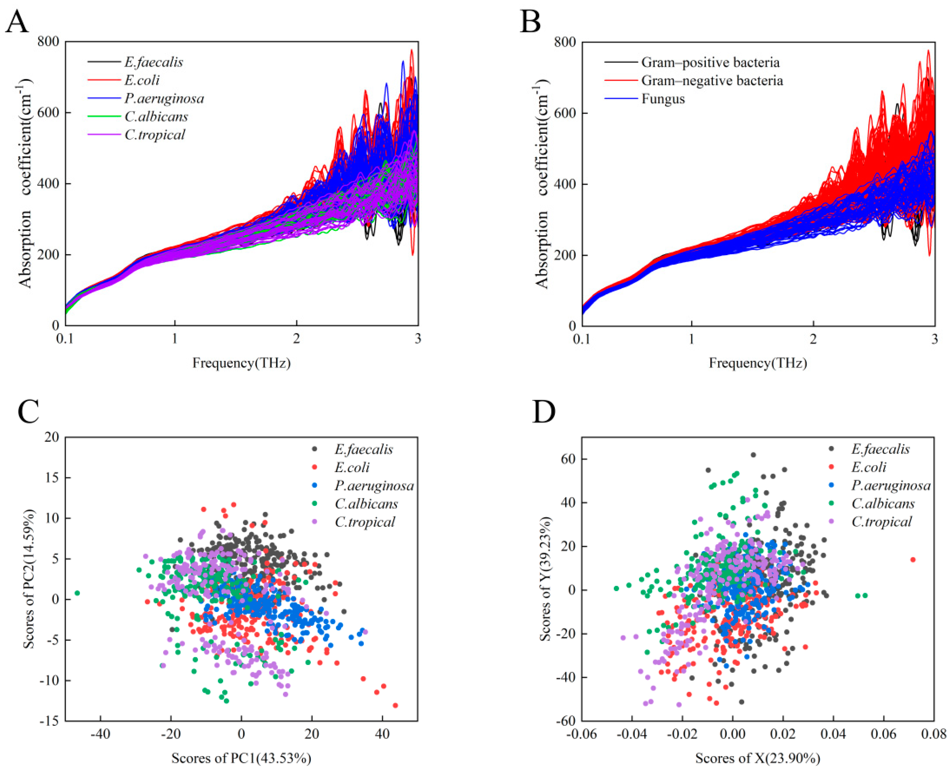 Biosensors 12 00378 g003