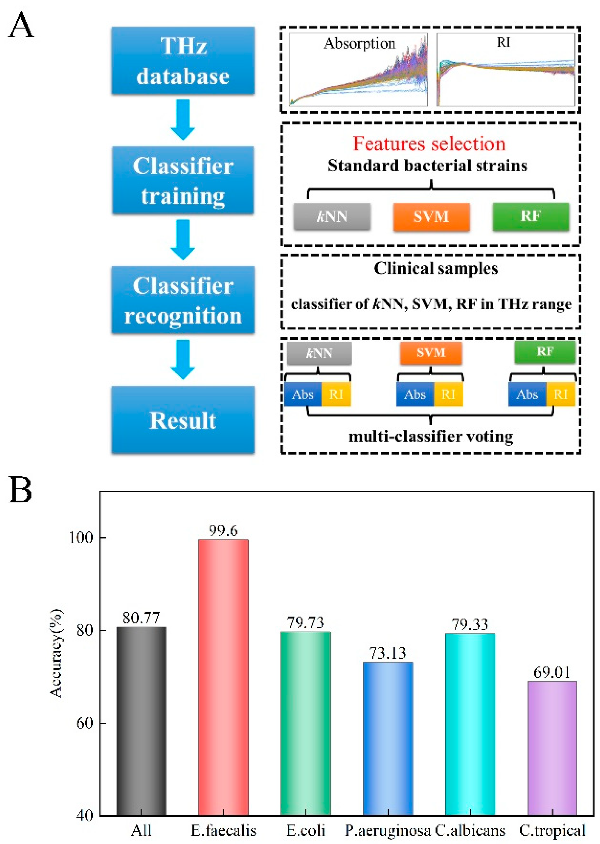 Biosensors 12 00378 g004