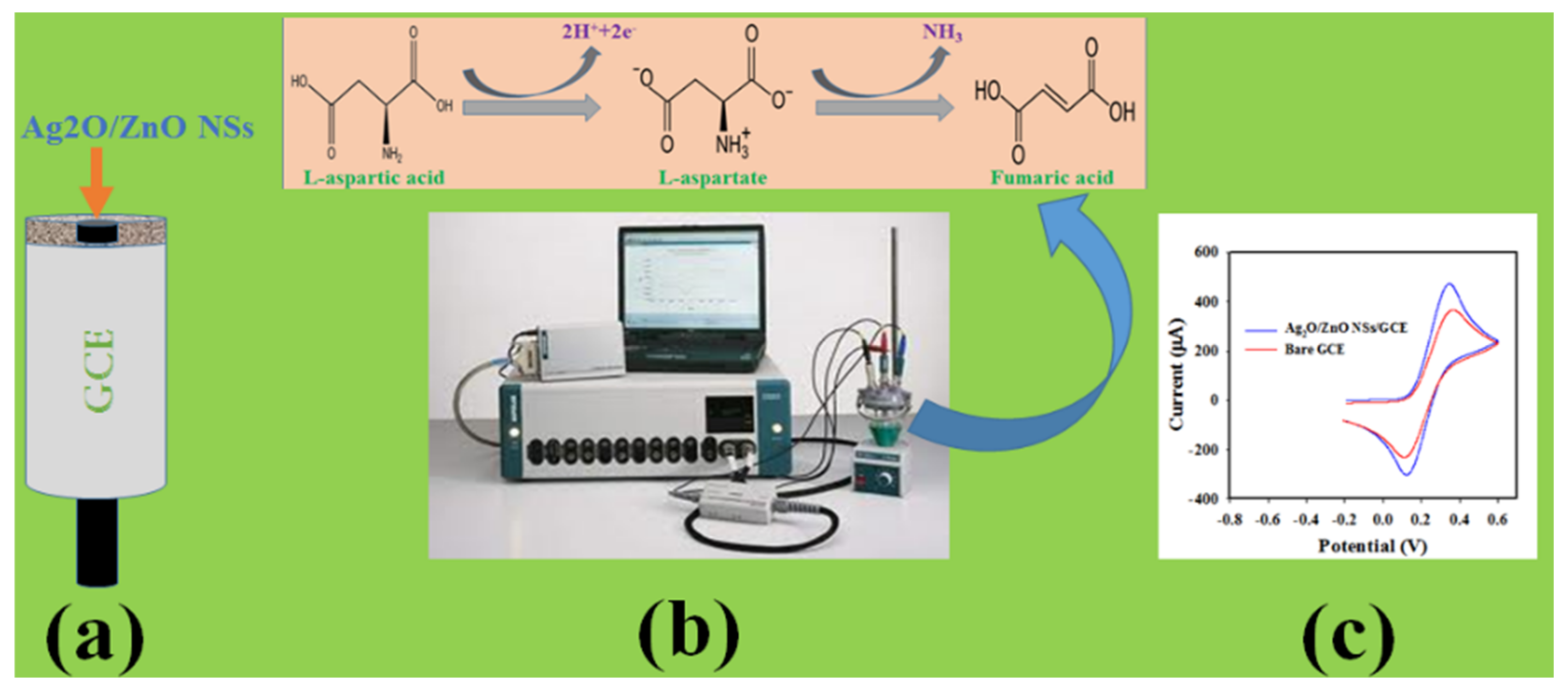 Biosensors 12 00379 sch001